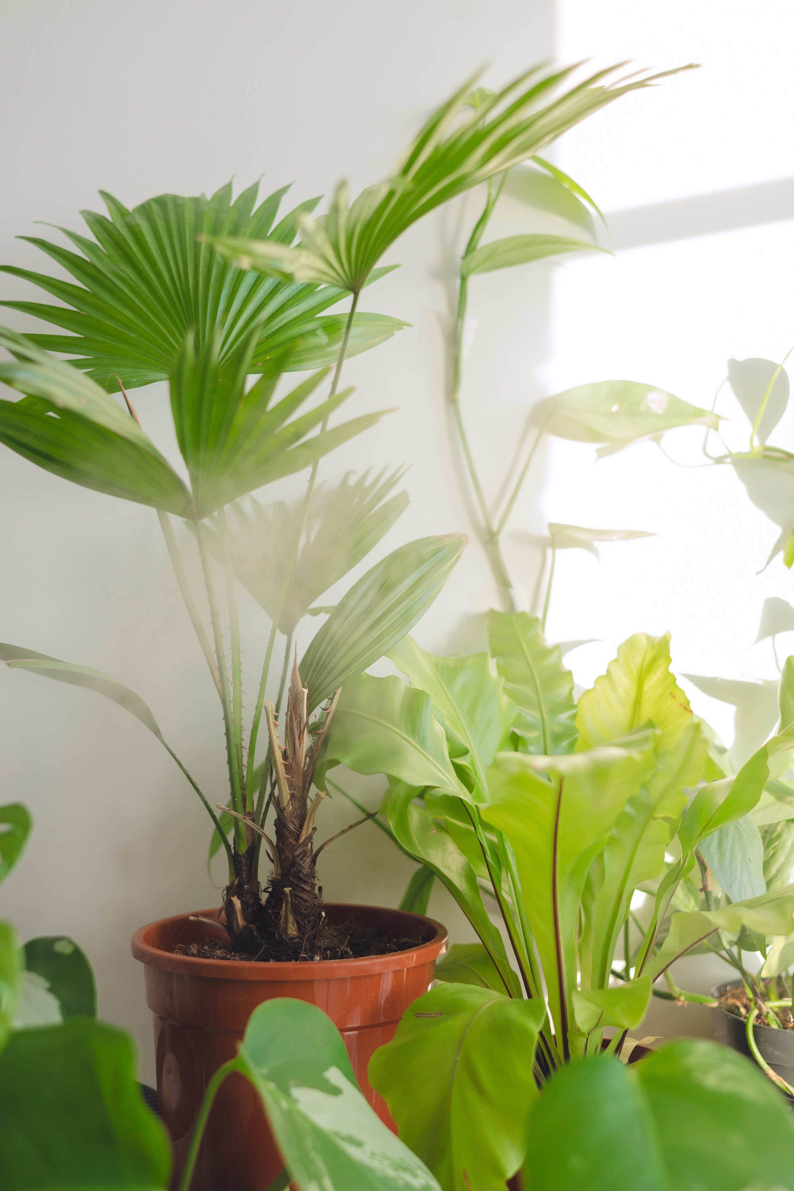 Предметная съемка для бизнеса. Фотограф в Санкт-Петербурге Осокина Елизавета