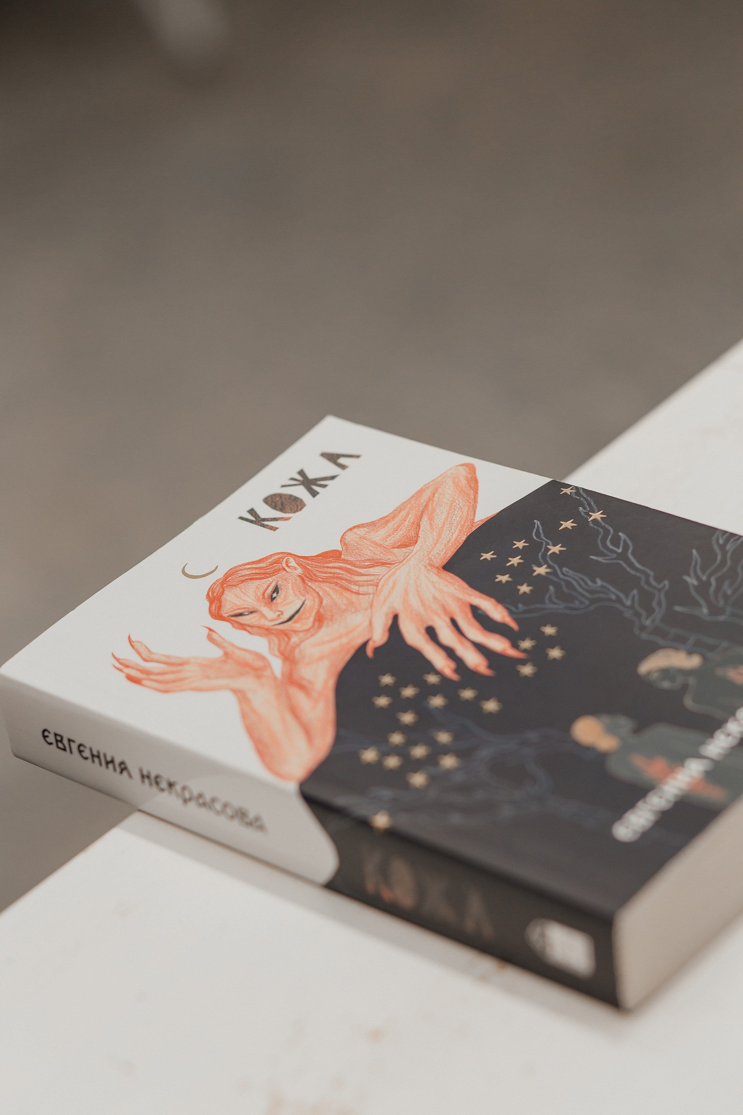 30.09.2023 Встреча с Евгенией Некрасовой. Книжный клуб