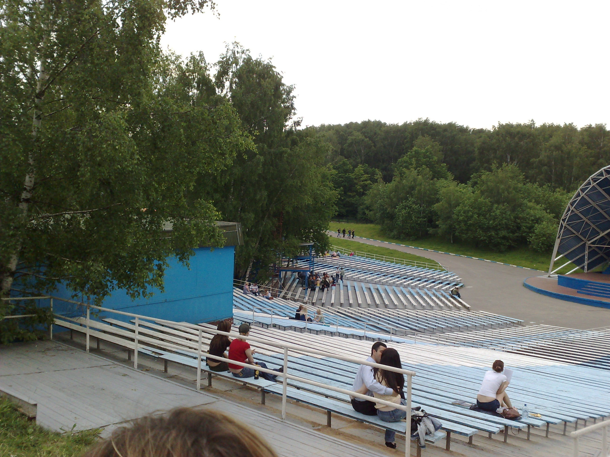 Зося на прогулке. Питомник китайских хохлатых собак Poale Ell: купить щенка в питомнике