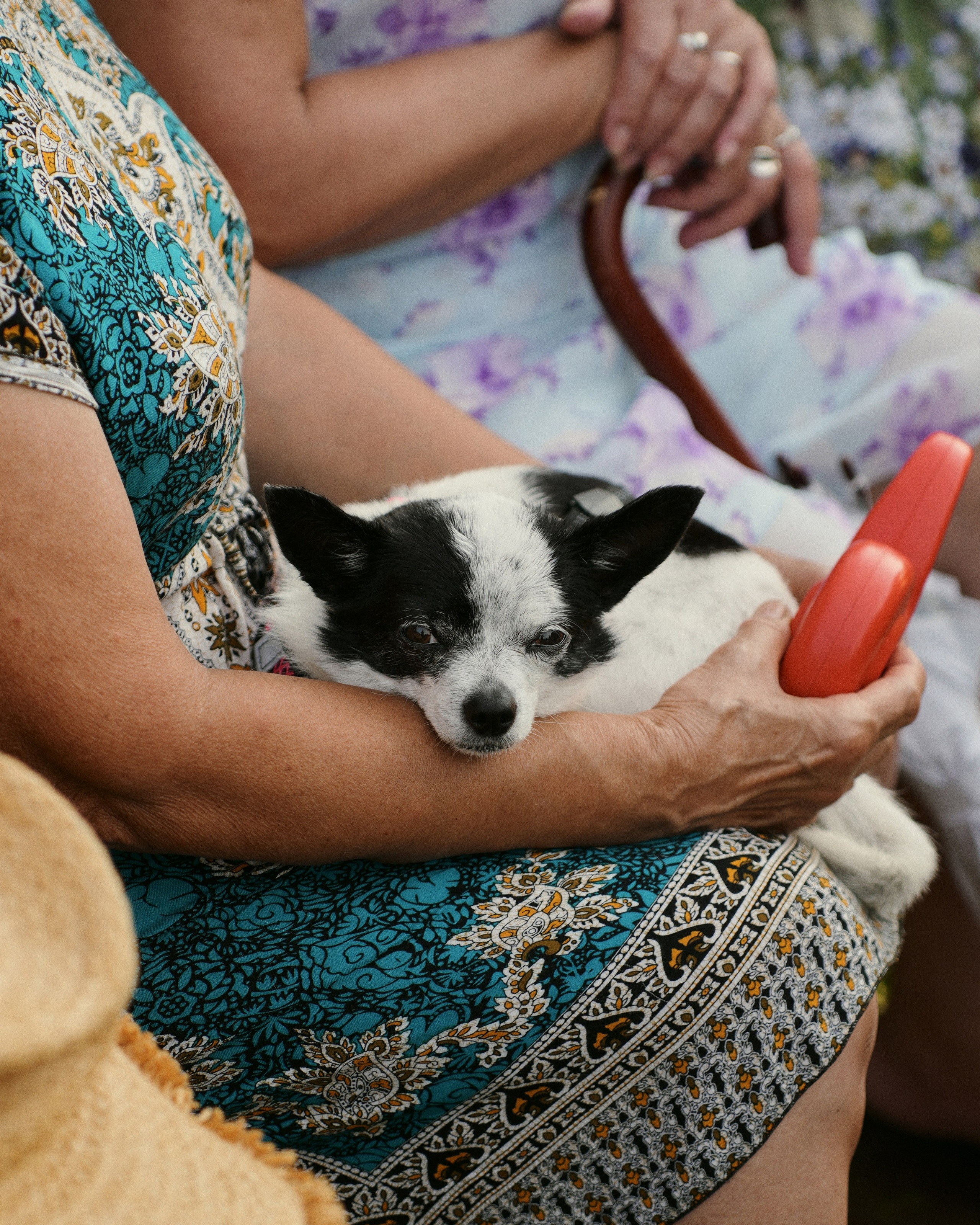 PODMOKLOVO. ANNA — PHOTOGRAPHER