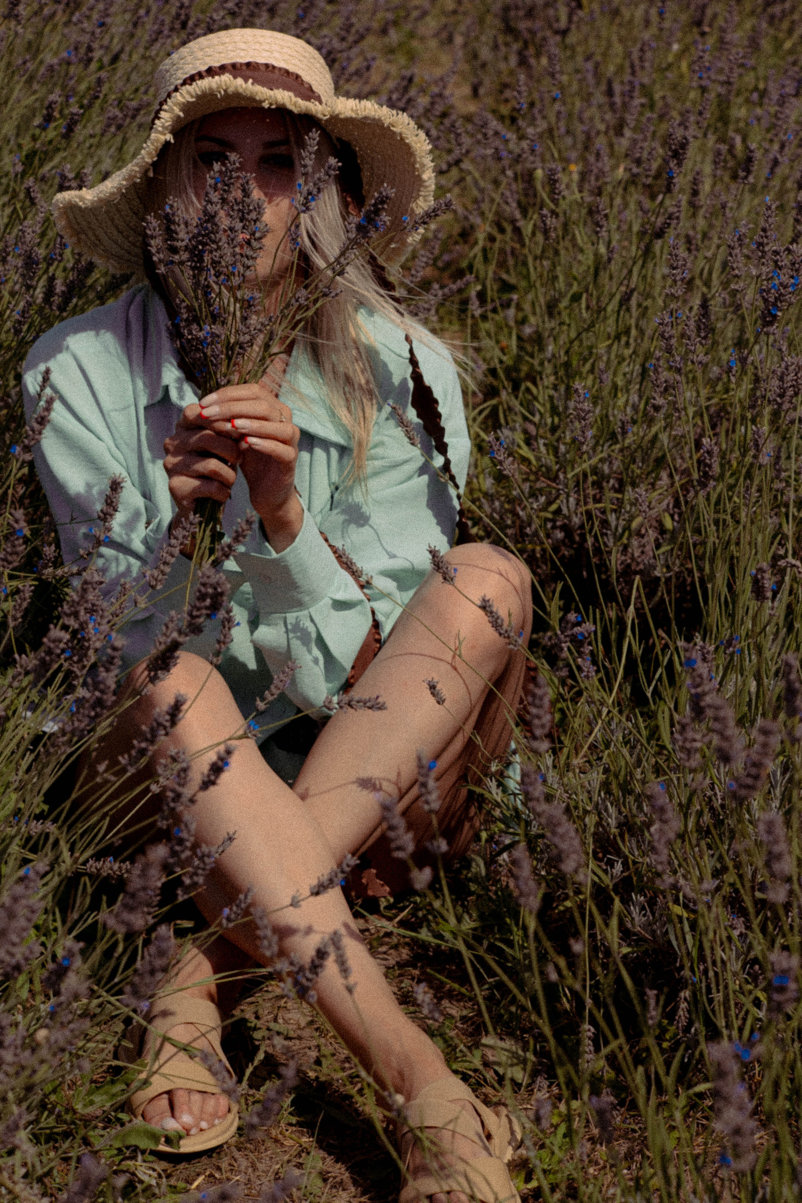 ЛАВАНВОДОВОЕ ПОЛЕ. Профессиональный фотограф, Санкт-Петербург — Виктория Богомолова