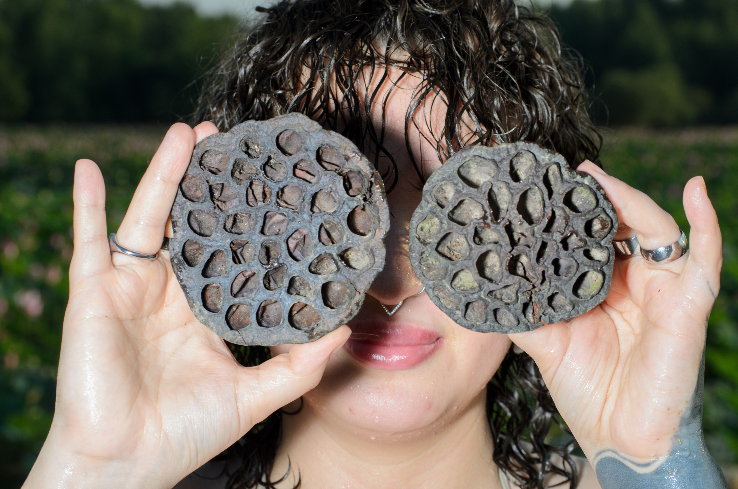 Лотосы. Колентеева Наталья/фотограф