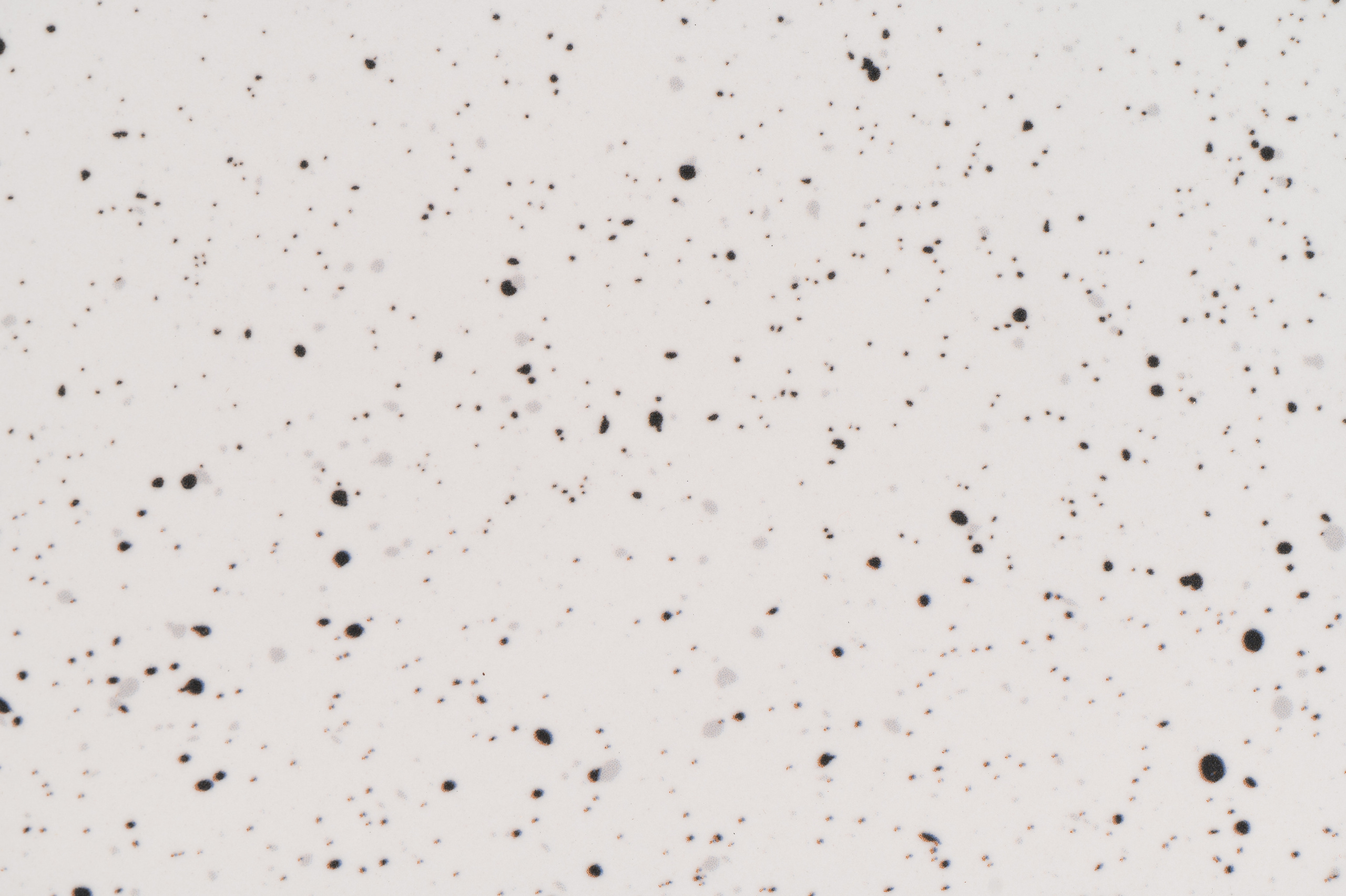 2022.08.12- LB-CERAMICS (керамическая плитка). Студия рекламной и предметной съемки товаров WELKO Studio