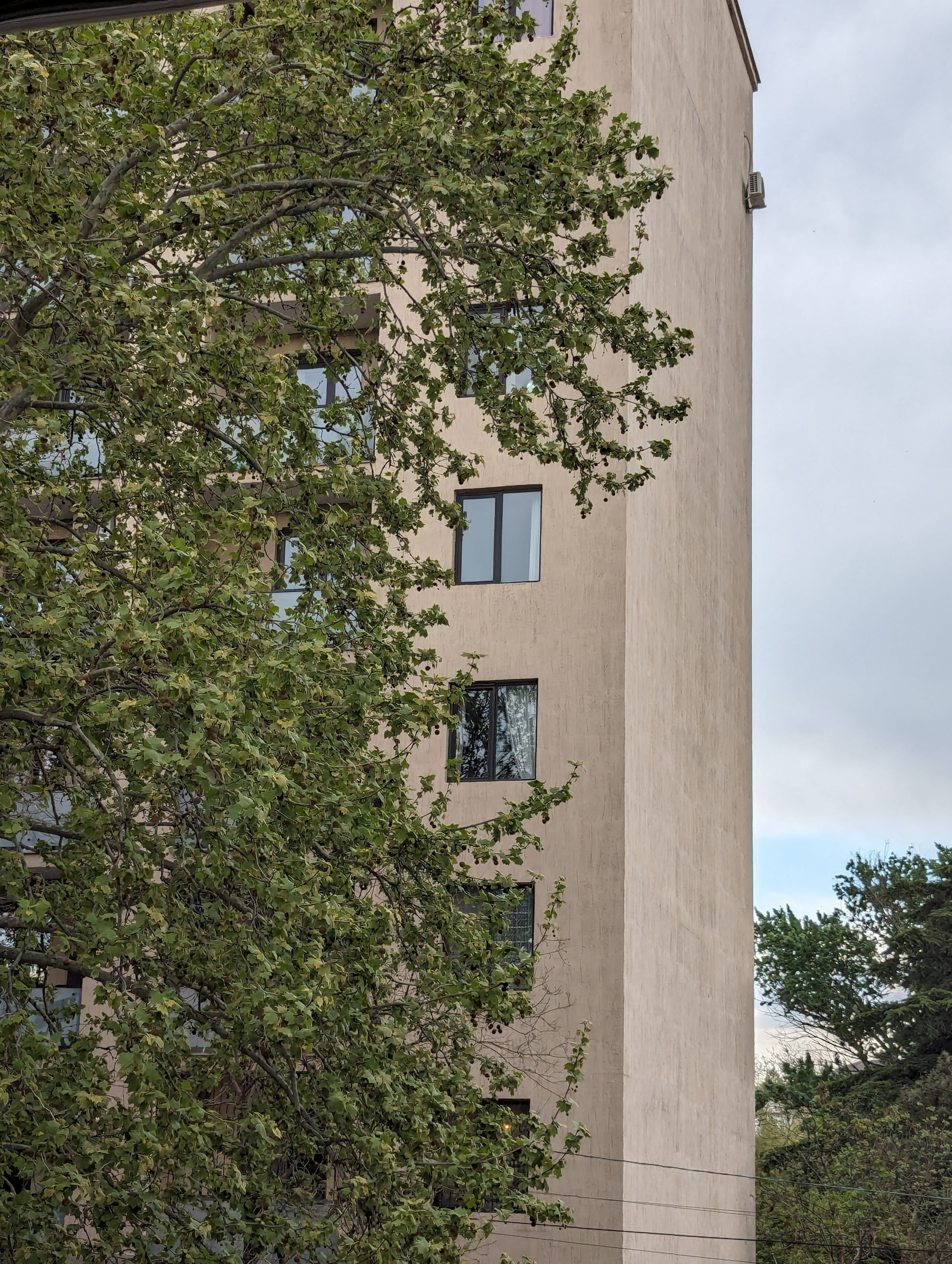 Мария Кутузова, Вера Санина-Гвоздикова