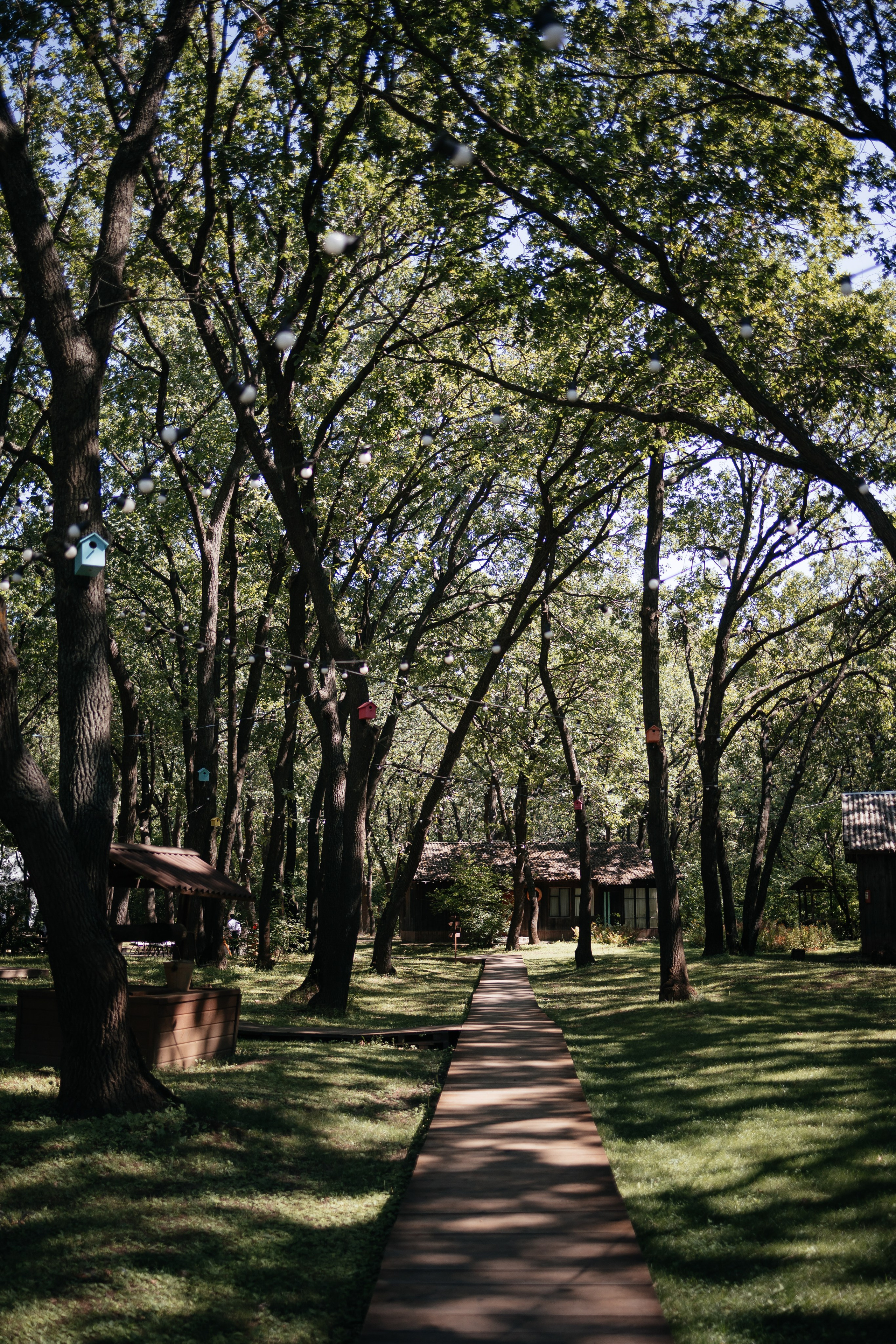 Николай и Алина. Фотограф Крохин Олег