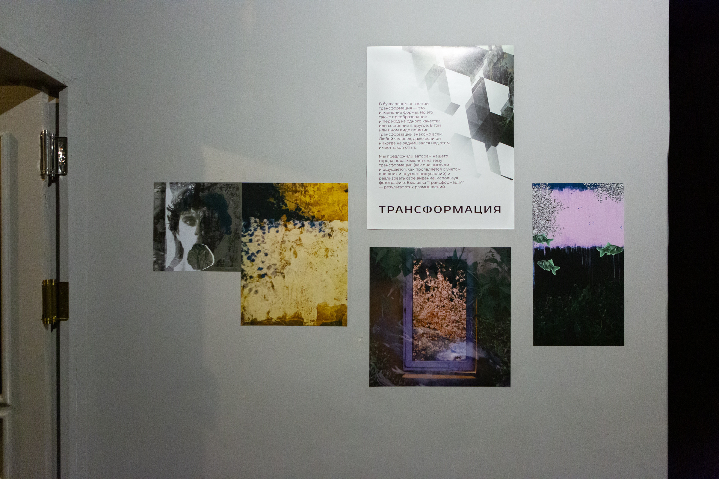 Трансформация. Фотограф Ольга Кардашова