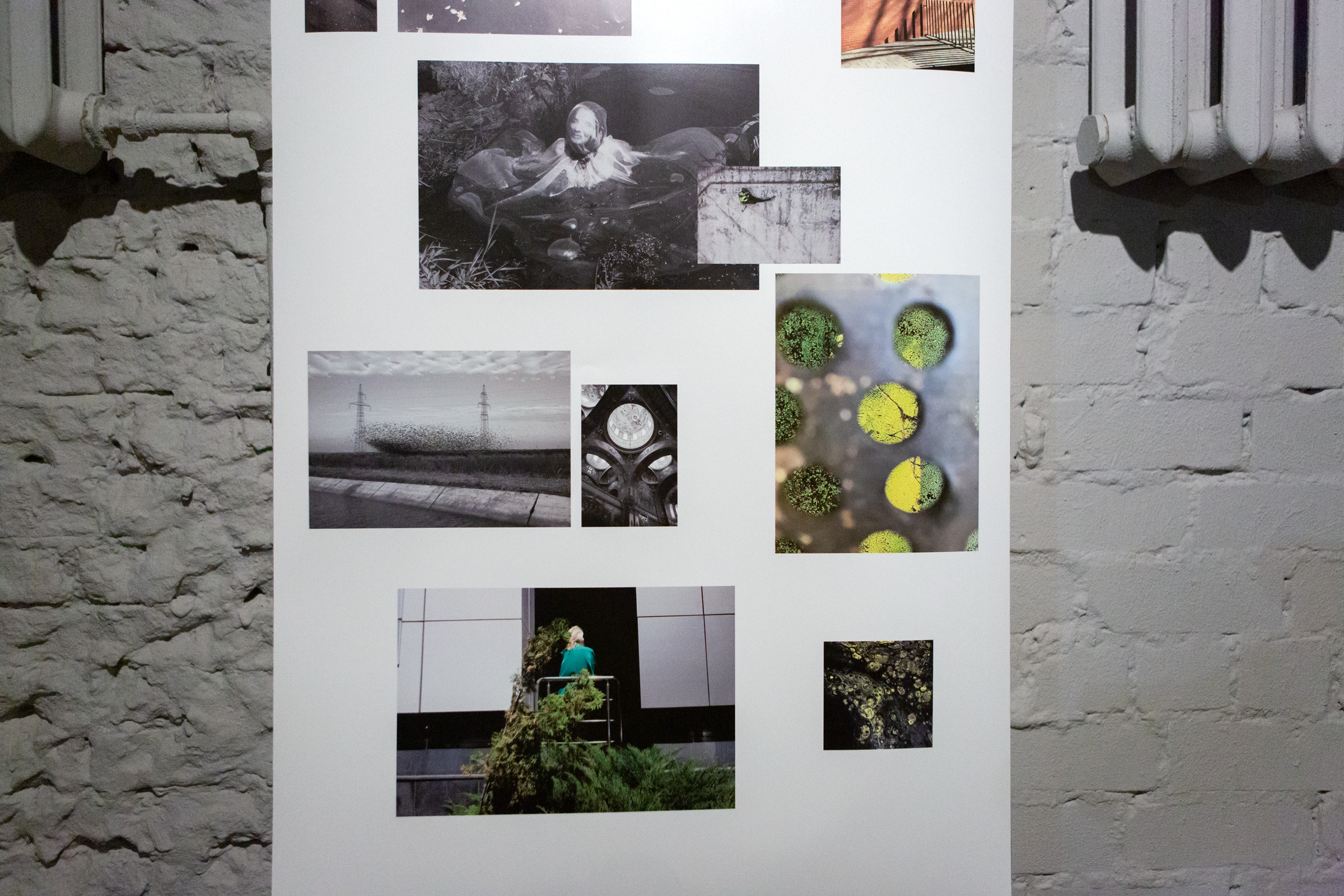 Трансформация. Фотограф Ольга Кардашова