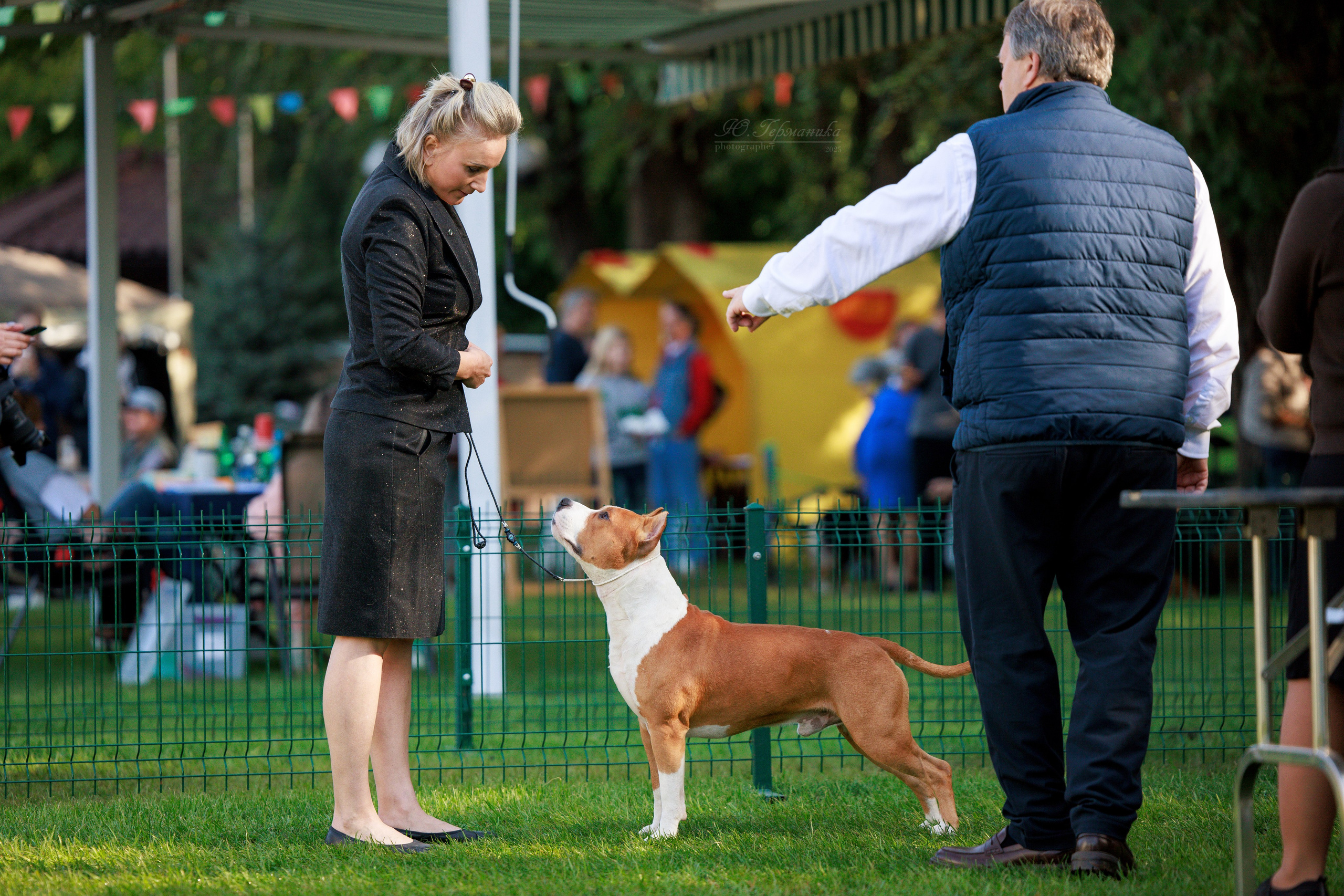 Бишкек 3х CACIB 26-28.09.2025. Фотограф-анималист Юлия Германика