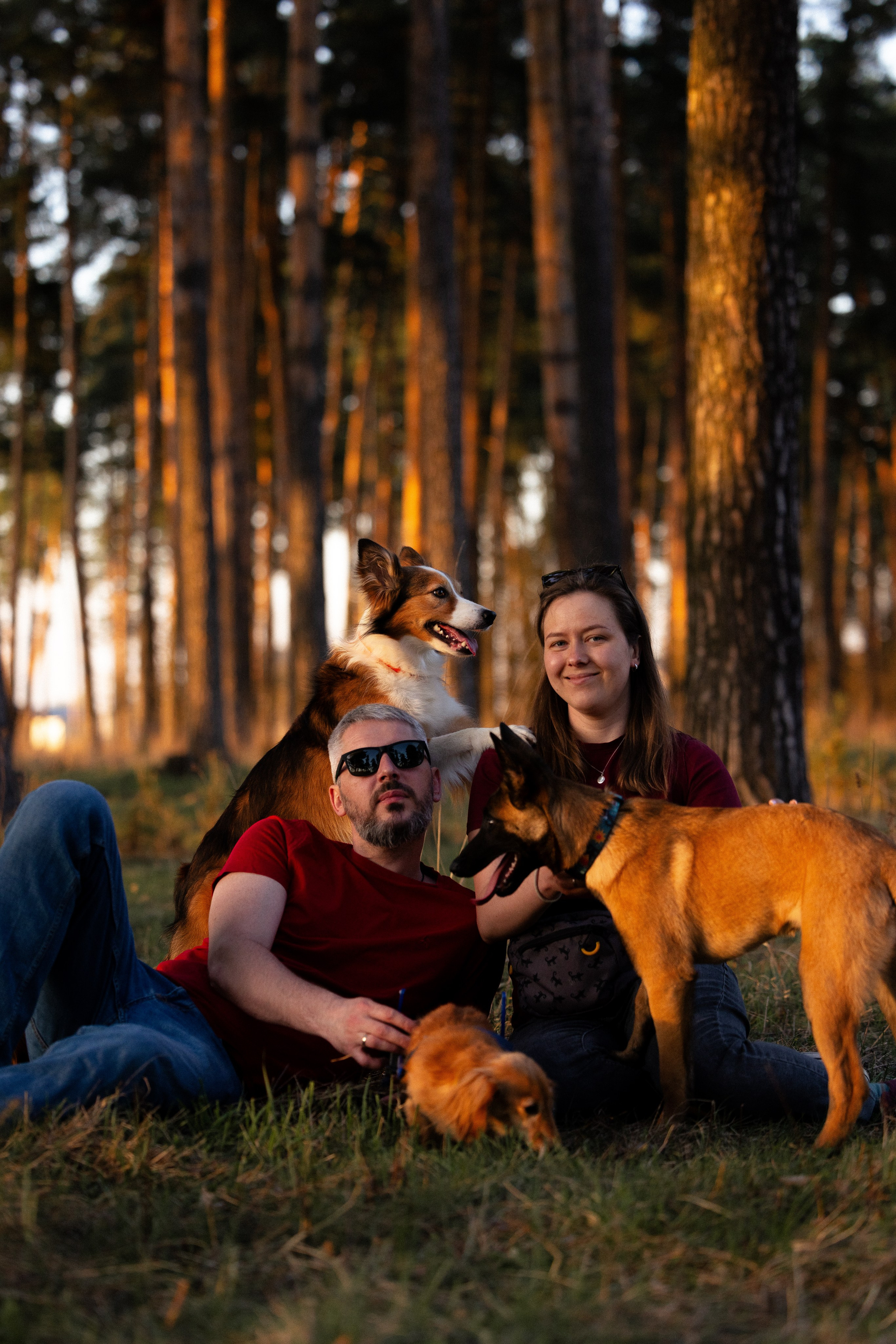 Разношерстная компания. Фотограф и видеограф анималист Аганина Дарья