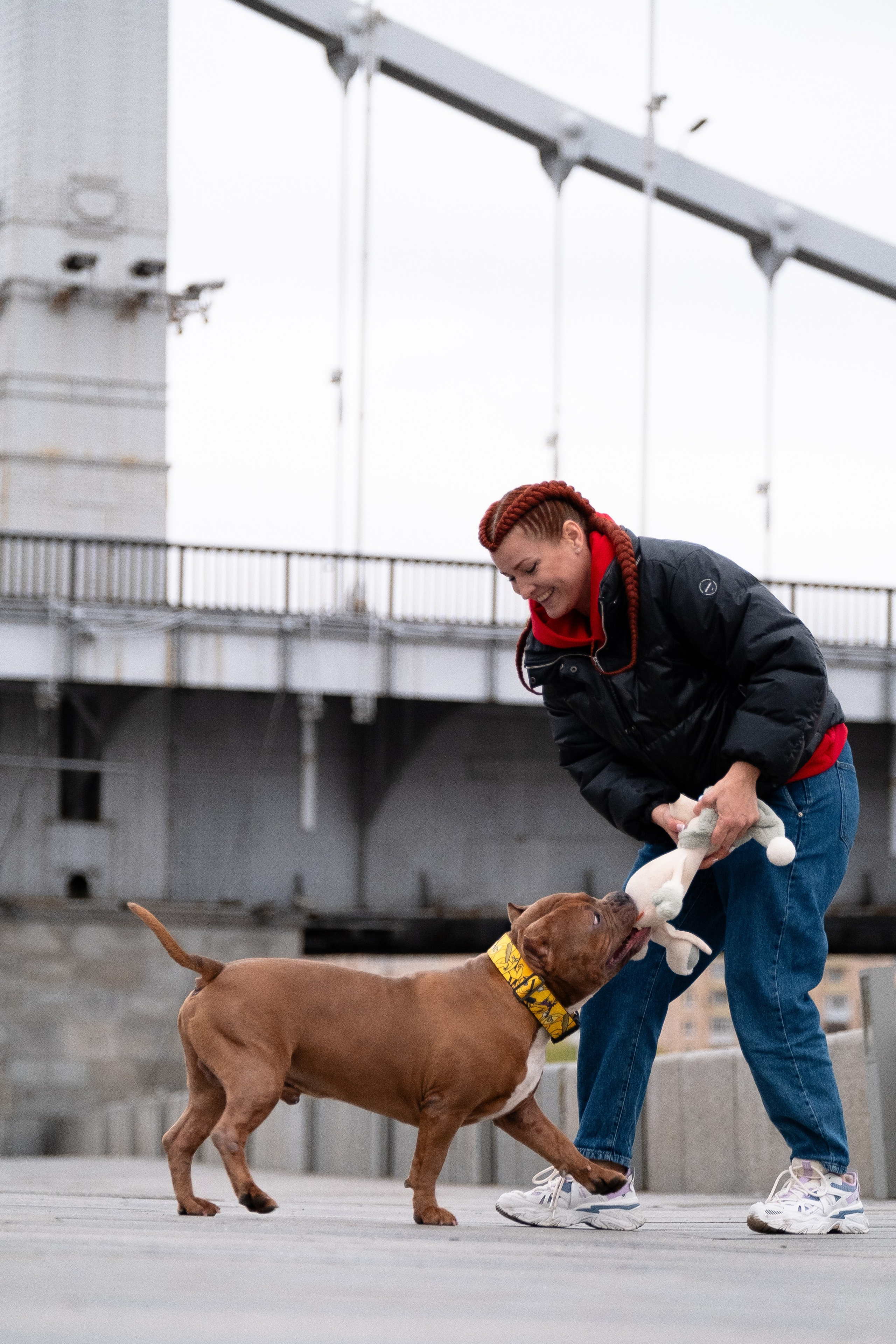 Спай и его семья. Фотограф и видеограф анималист Аганина Дарья