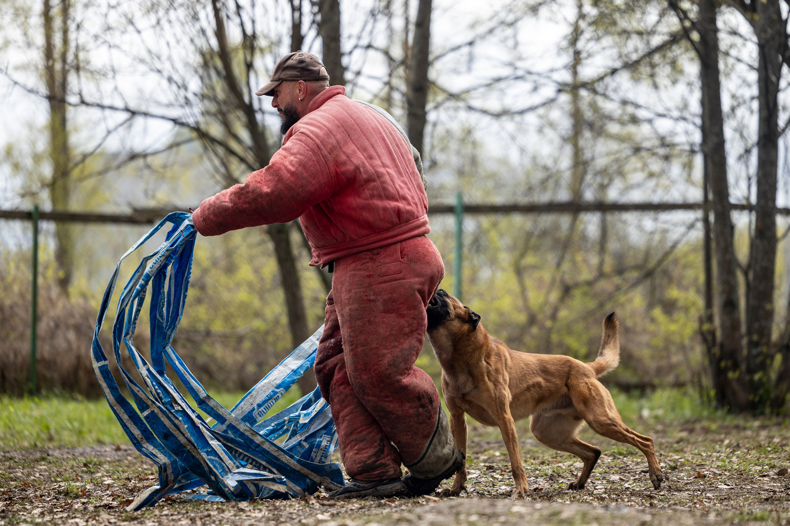 Квалификационные состязания по мондьорингу г. Вологда 11.05.24. Фотограф-анималист Анна Маринич
