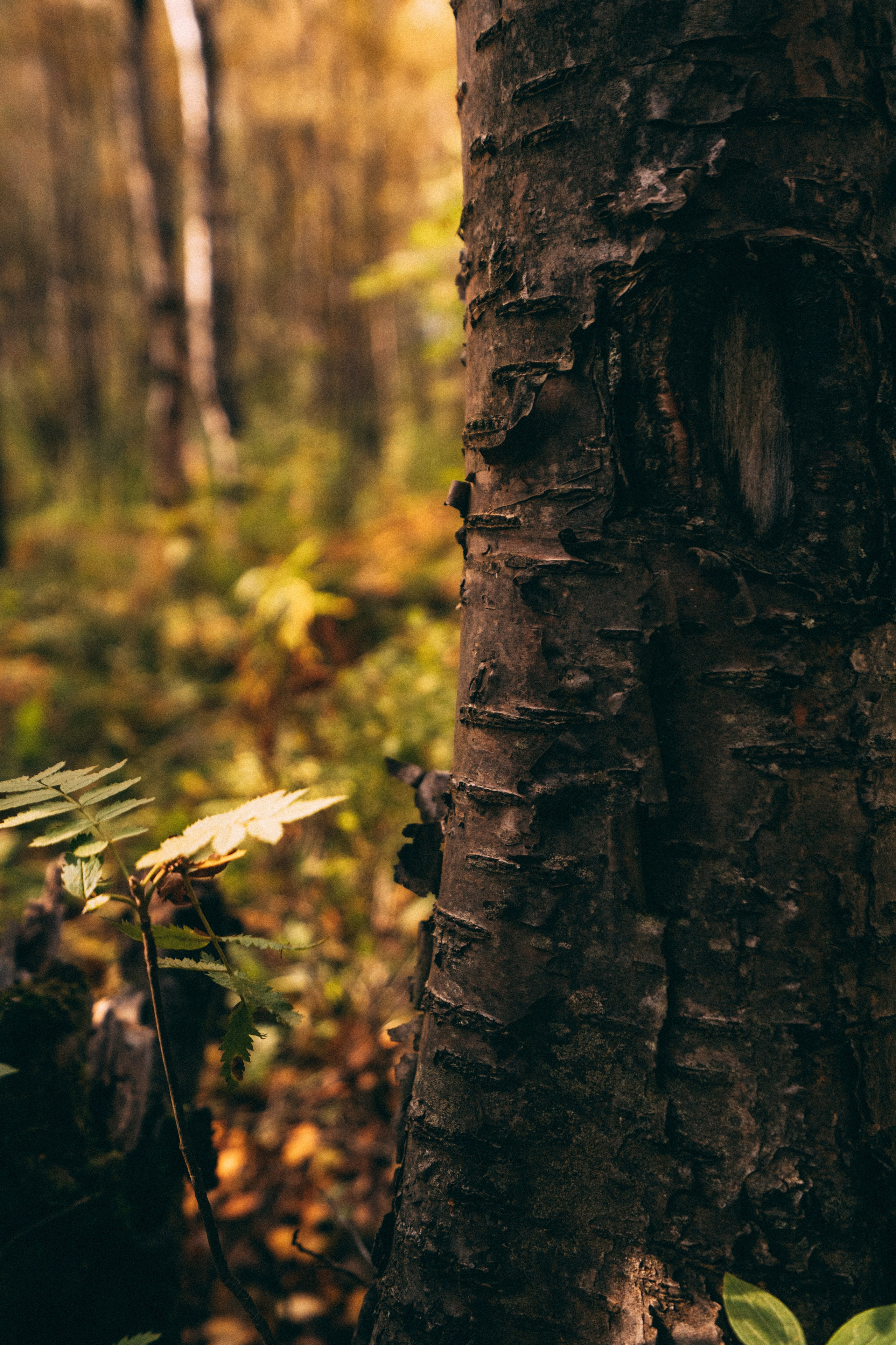 Мурманск. Фотограф Алиса Аспер