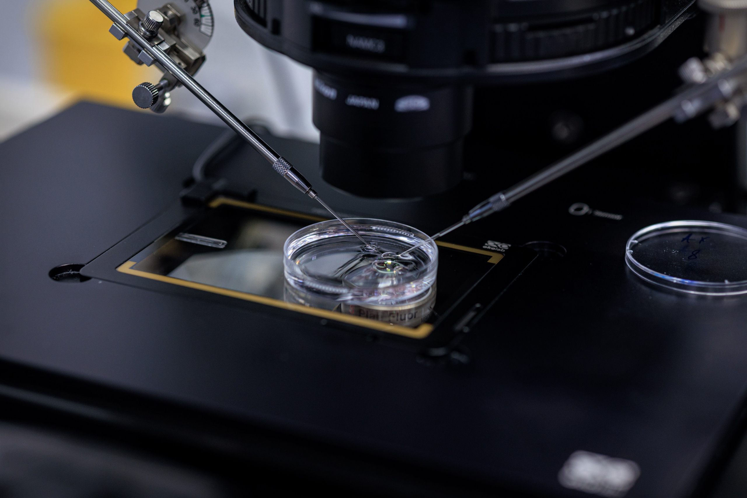 Бизнес-фотограф в Алматы — корпоративные съёмки, деловые портреты и репортажи. Профессиональный фотограф в Алматы