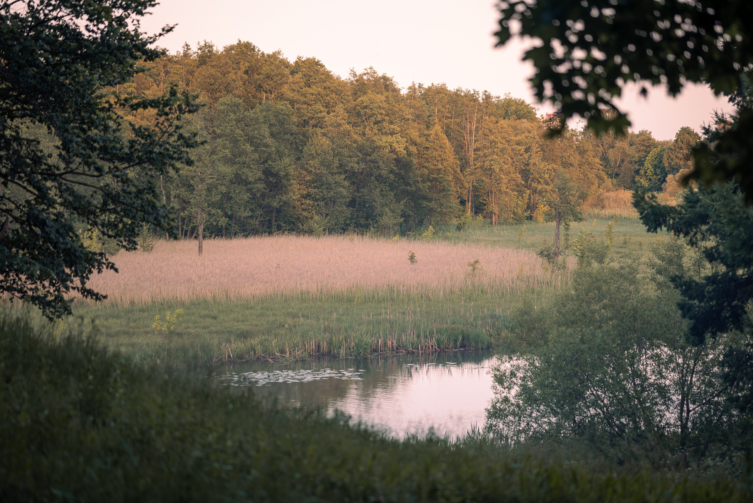 Места. Фотограф в Минске Дарья Кончакова