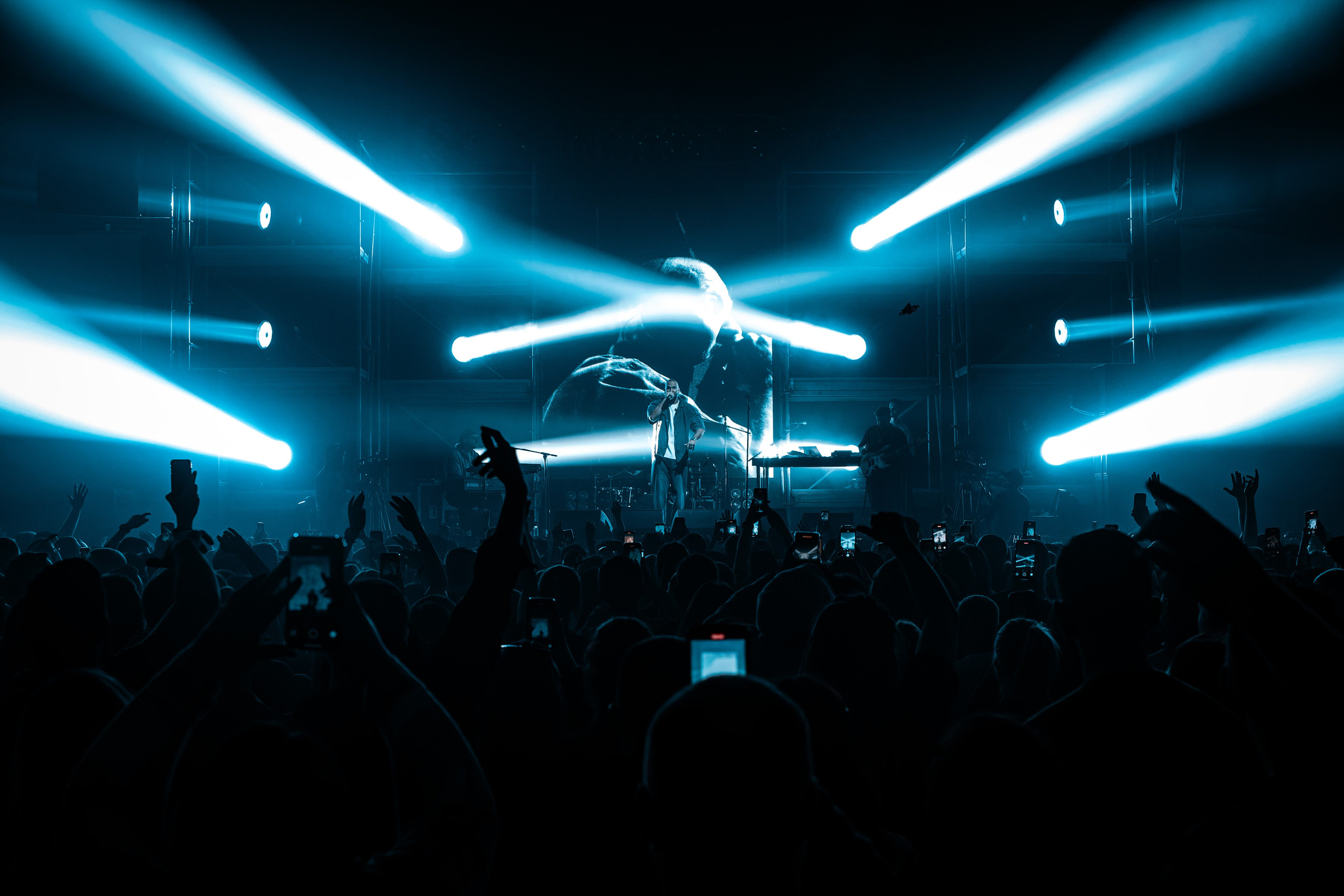 LOC DOG / МОСКВА / 2025. OOPS