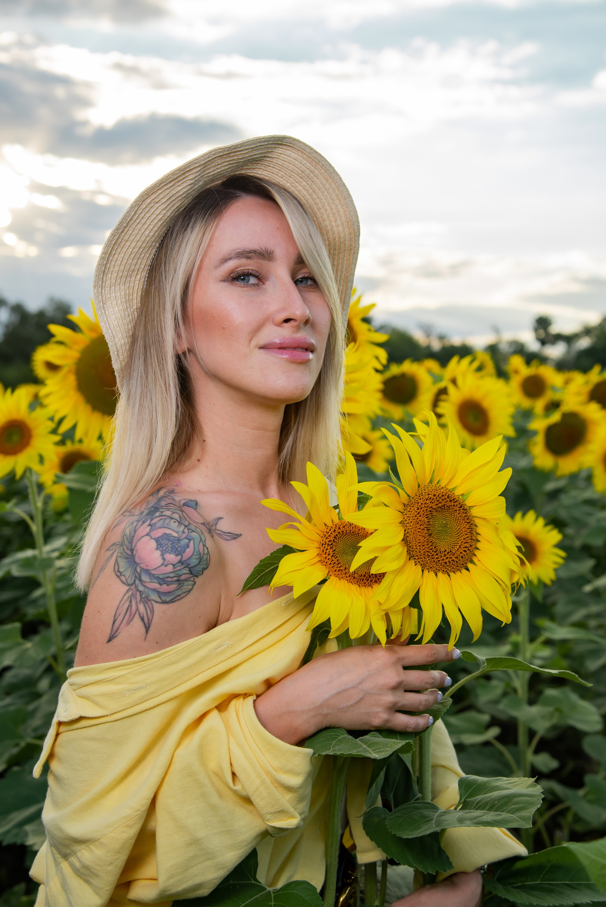 Подсолнух. Фотограф Галина Нестерова