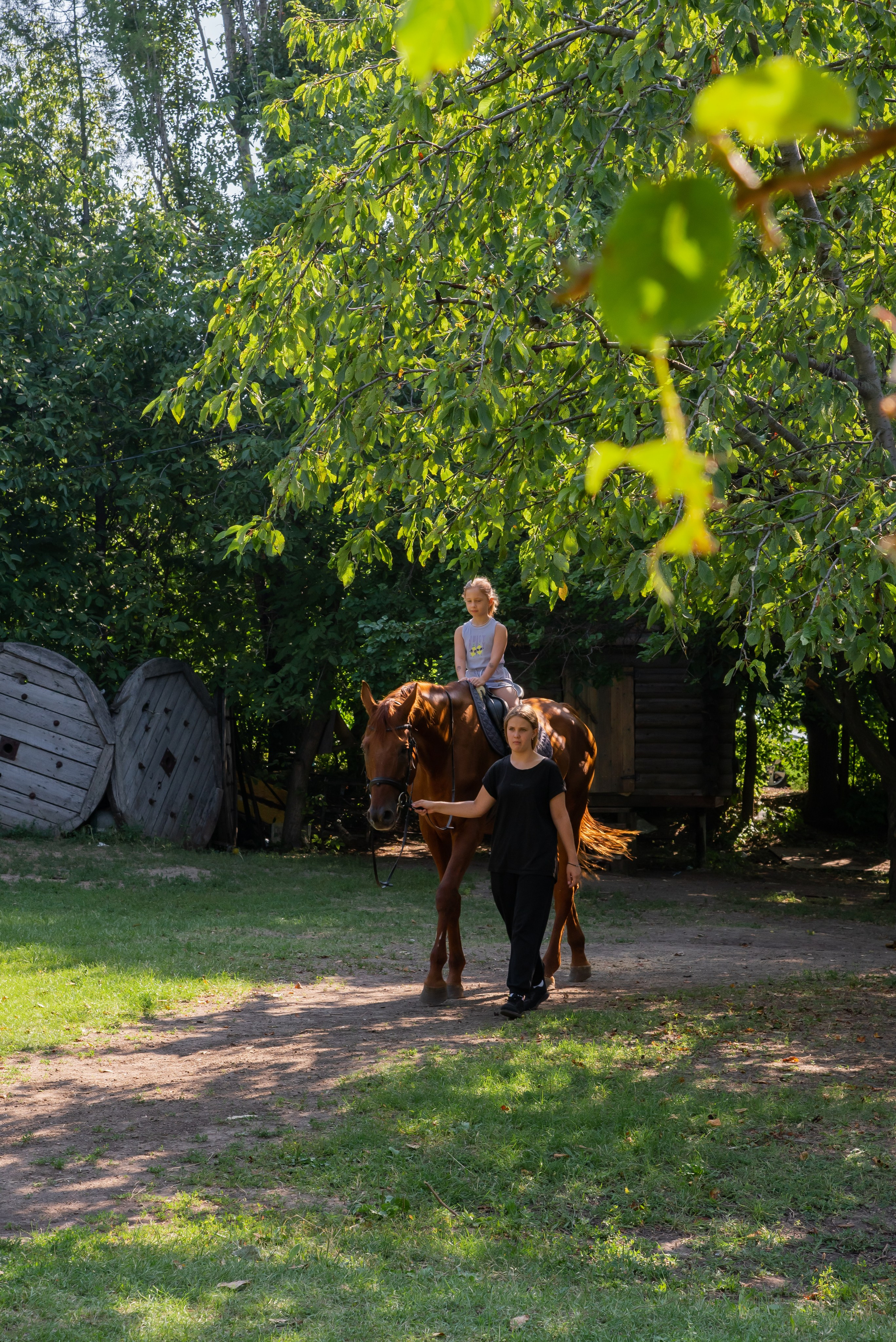 Конная прогулка. Фотограф Галина Нестерова