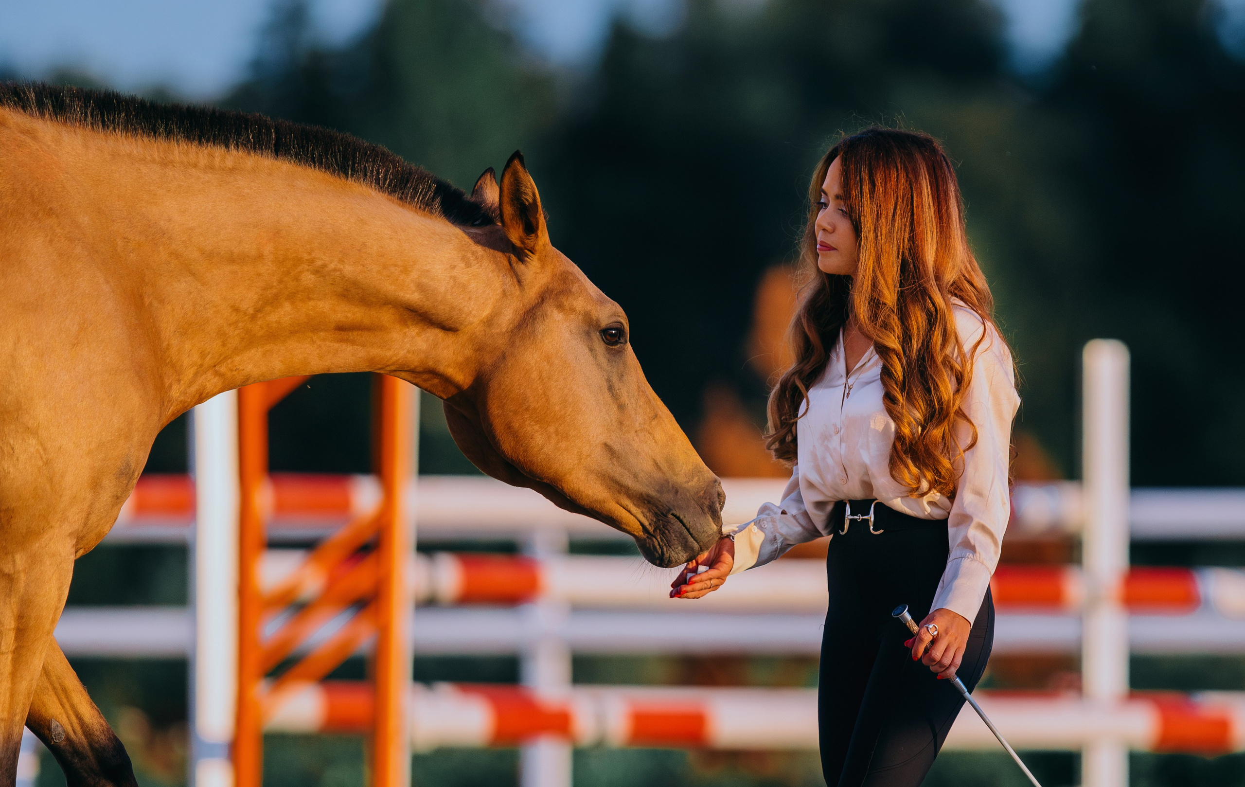 Лена и Персей. Фотограф-анималист Ксендзова Кристина