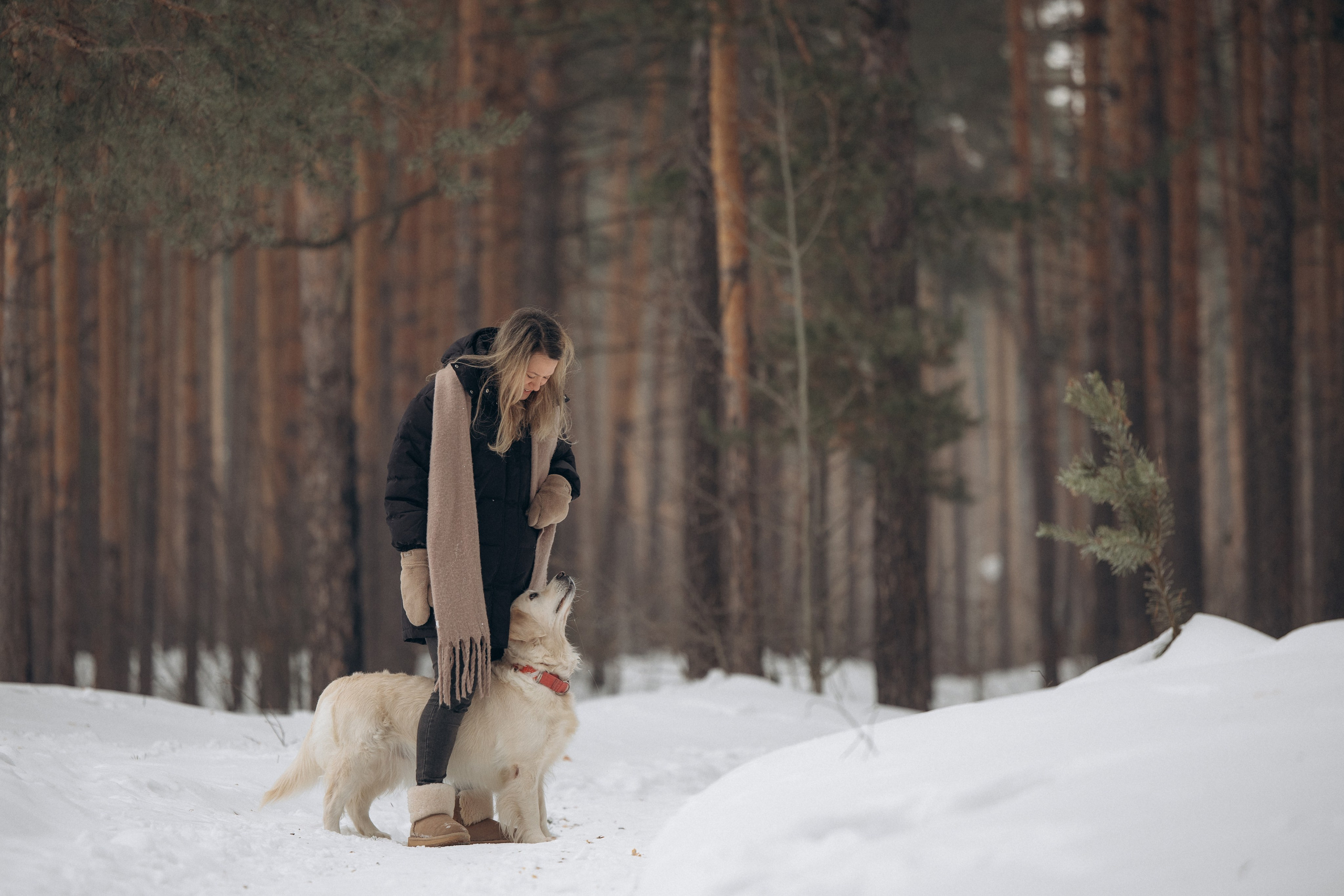 Зима. Лес. Татьяна и Делла. Фотограф анималист в Казани Алина Сулейманова. Фотограф животных