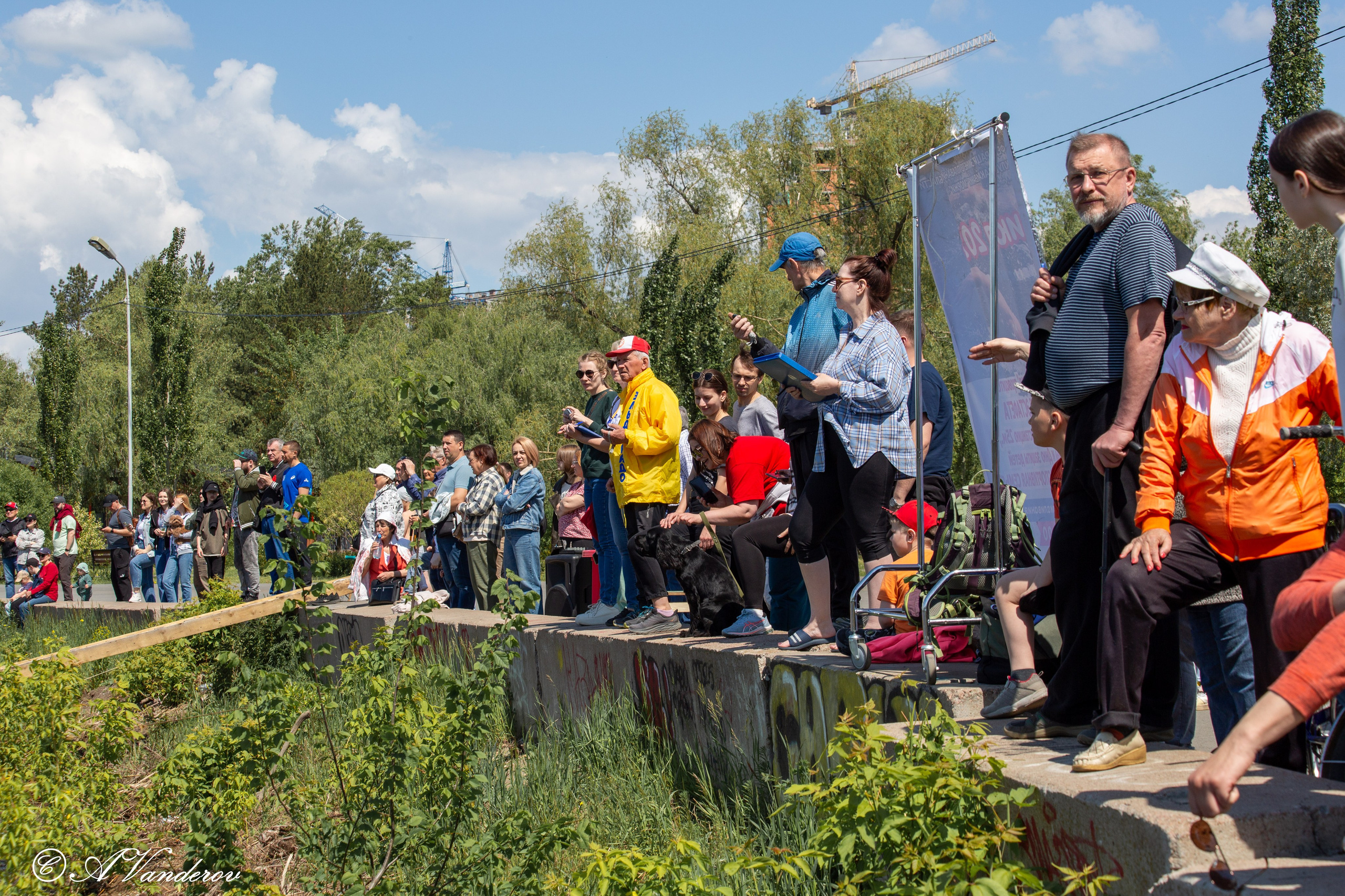 Заплыв 02.06.2024. Фотограф Омск | Александр Вандеров