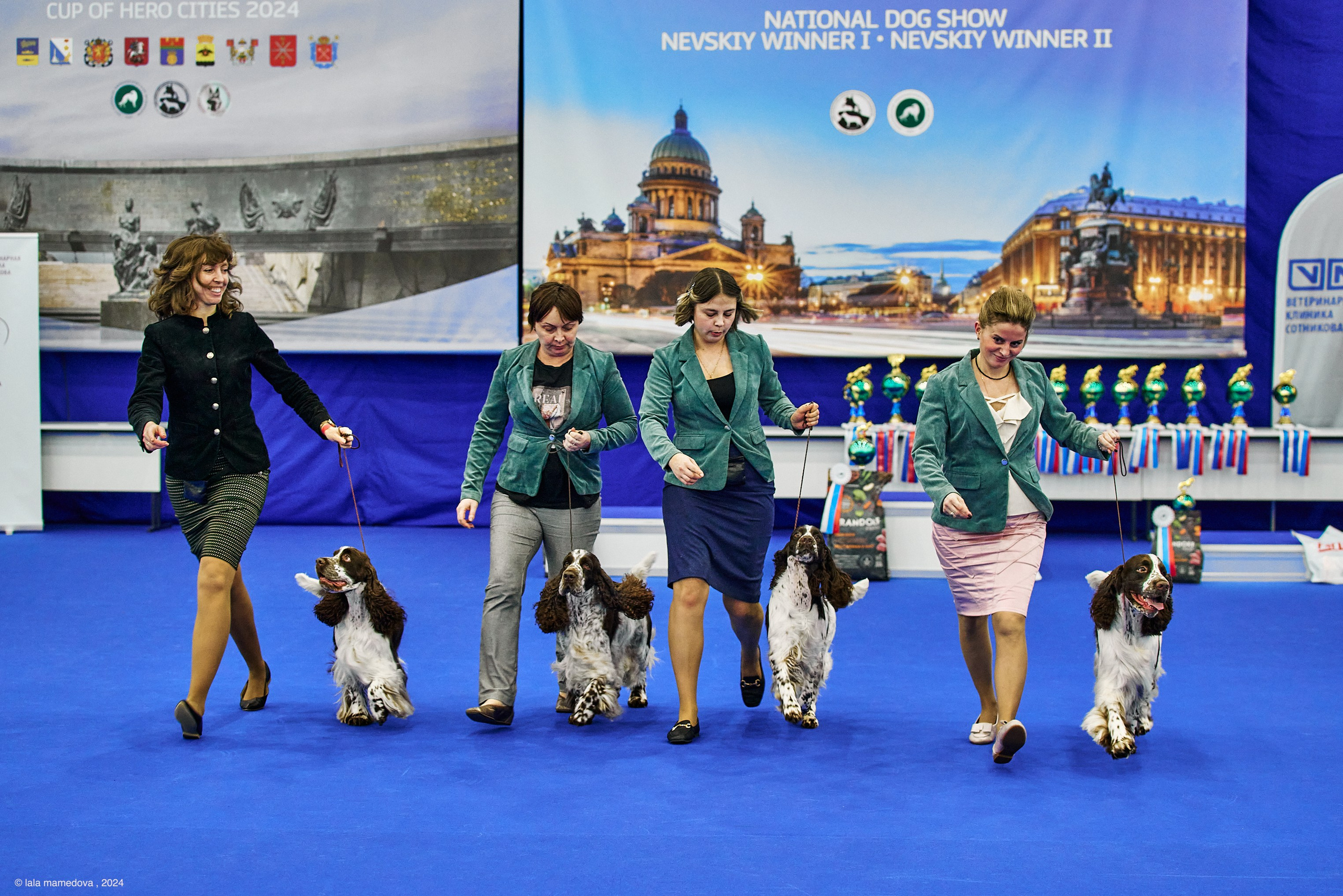 РЕЙТИНГОВАЯ ВЫСТАВКА СОБАК ВСЕХ ПОРОД С ОСОБЫМ СТАТУСОМ"НЕВСКИЙ ПОБЕДИТЕЛЬ-2024-2"