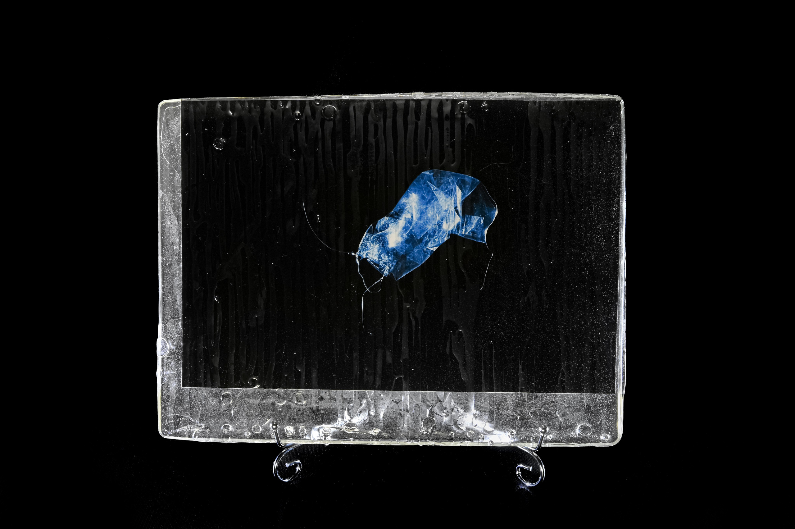 Пиренейский козерог. 2024 год. Размер : 30 см на 40 см. LightJet бумага Pearl, ламинация хол.глянцевая, накатка Dibond, эпоксидная смола. Цена по запросу