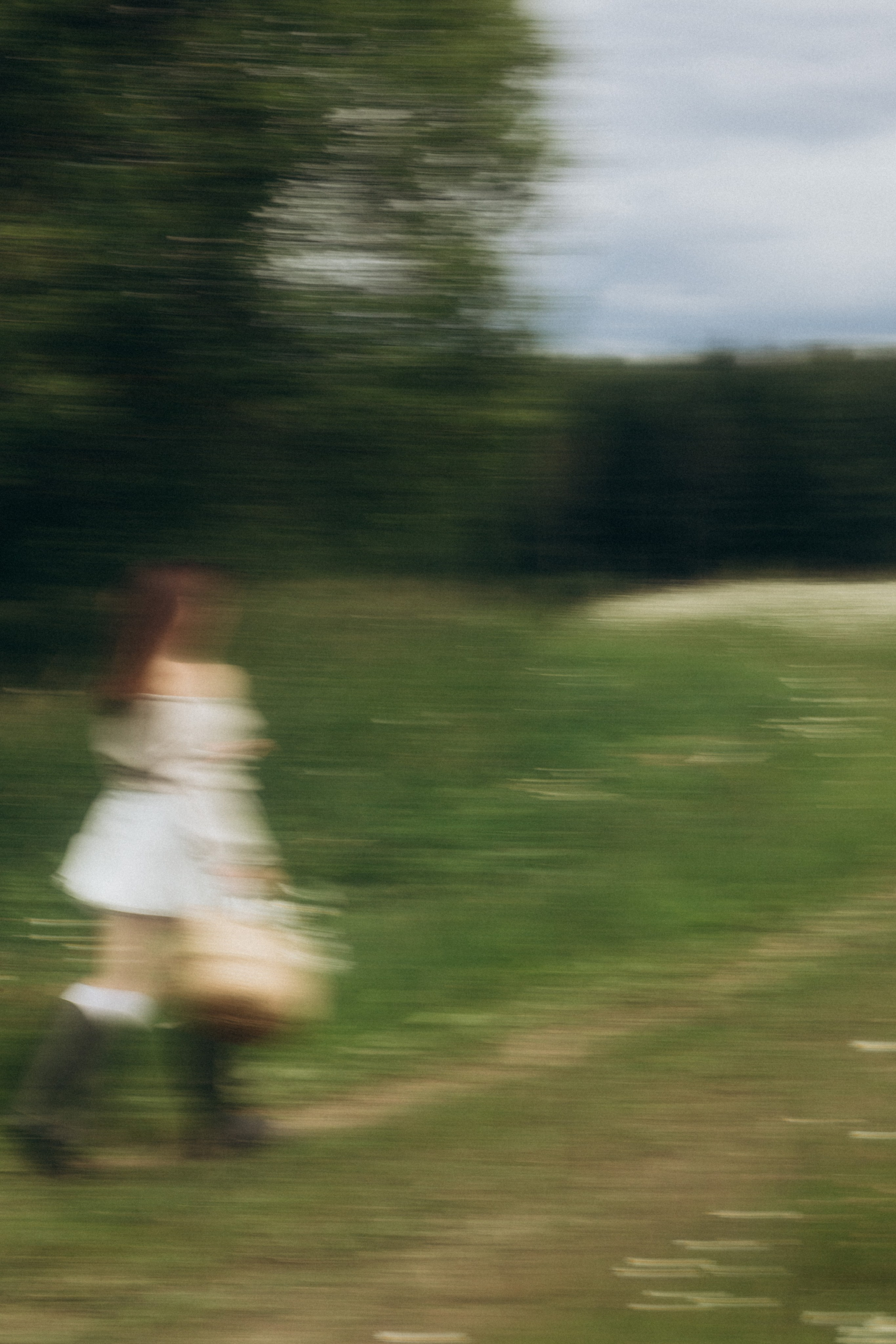 Ромашковое море