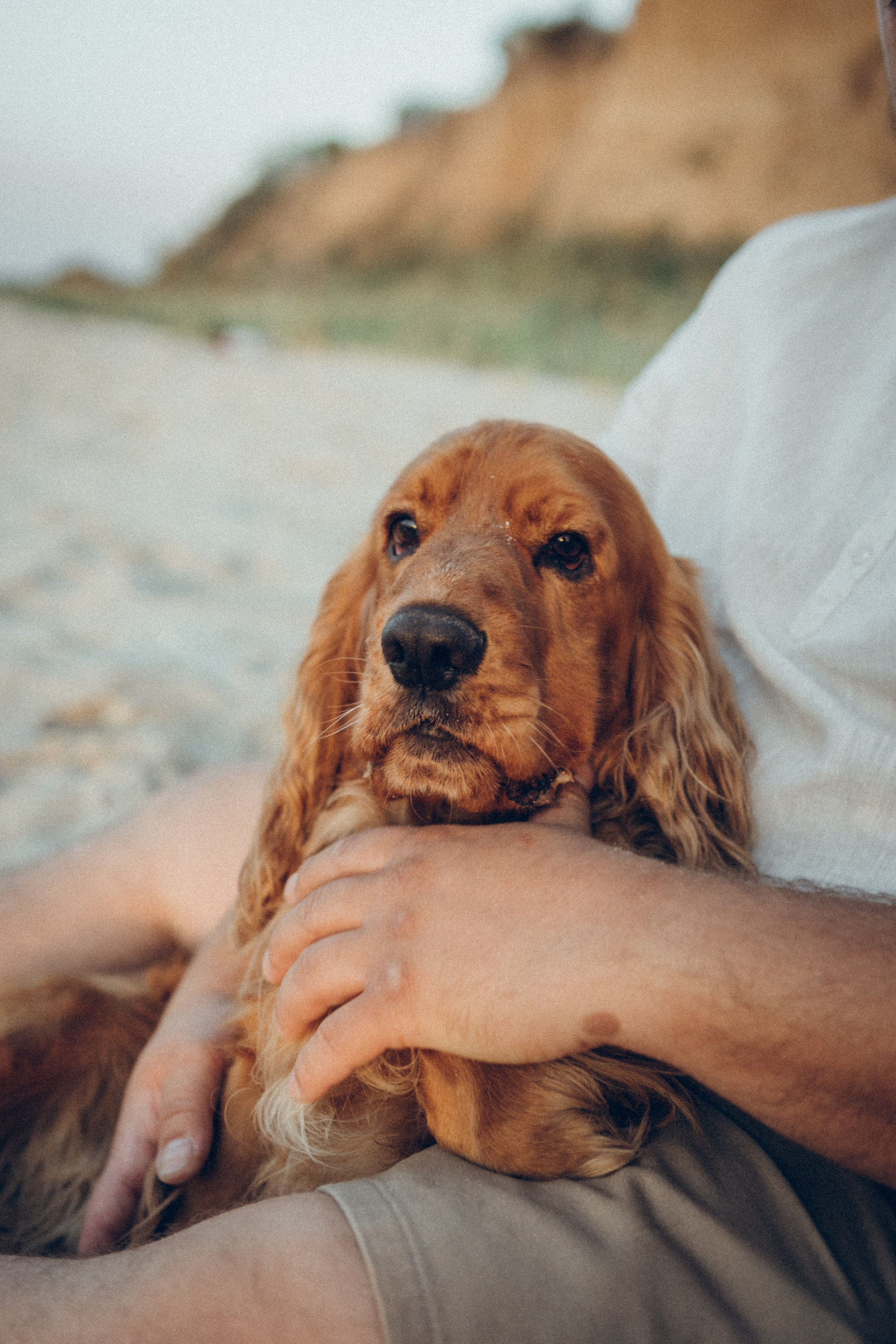 Family moment 💫. Семейный фотограф и фотограф на роды в Ростове-на-Дону Мухина Виктория