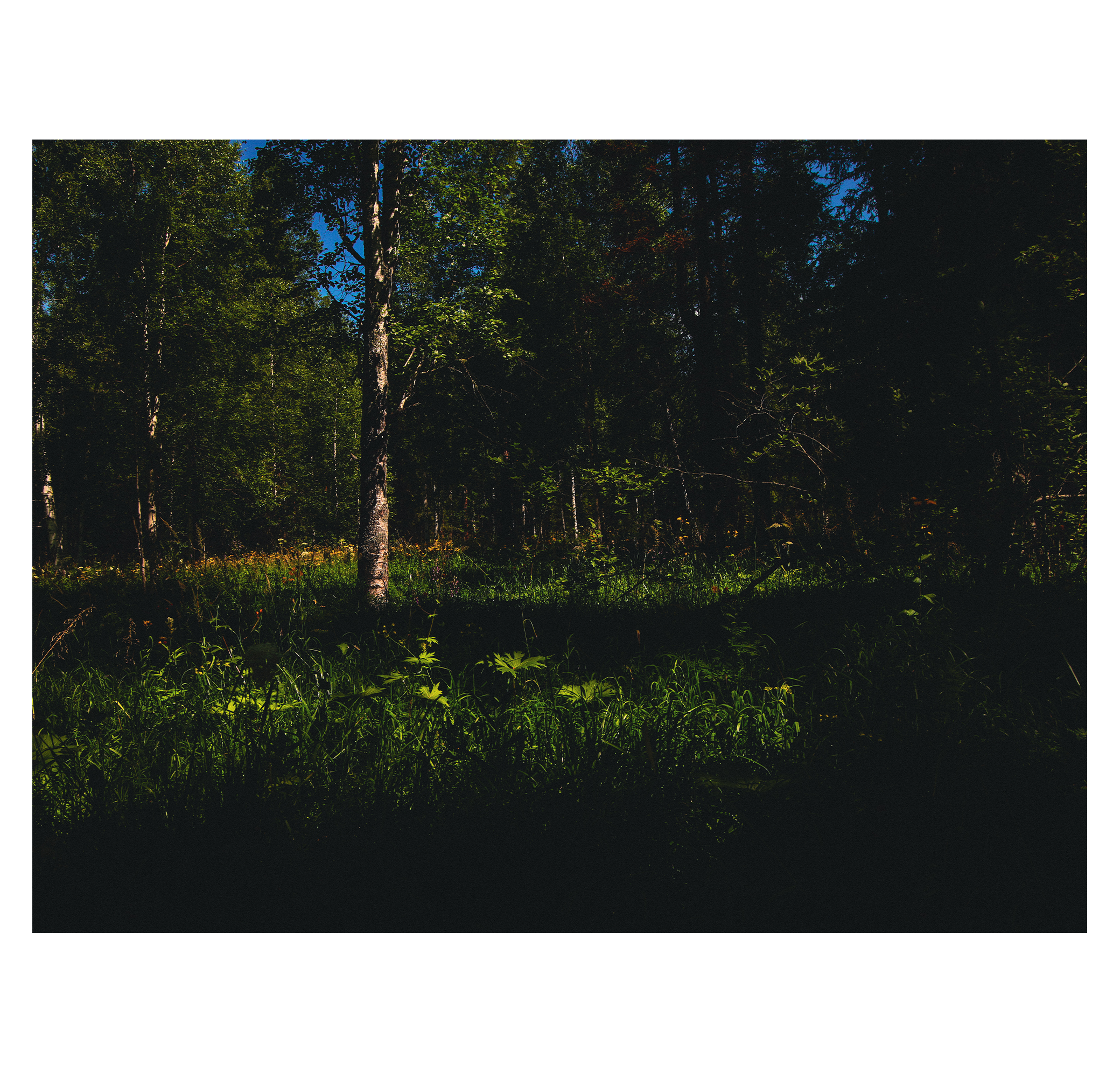 Summer hike. Фотограф/дизайнер в Екатеринбурге Хитрый Дмитрий