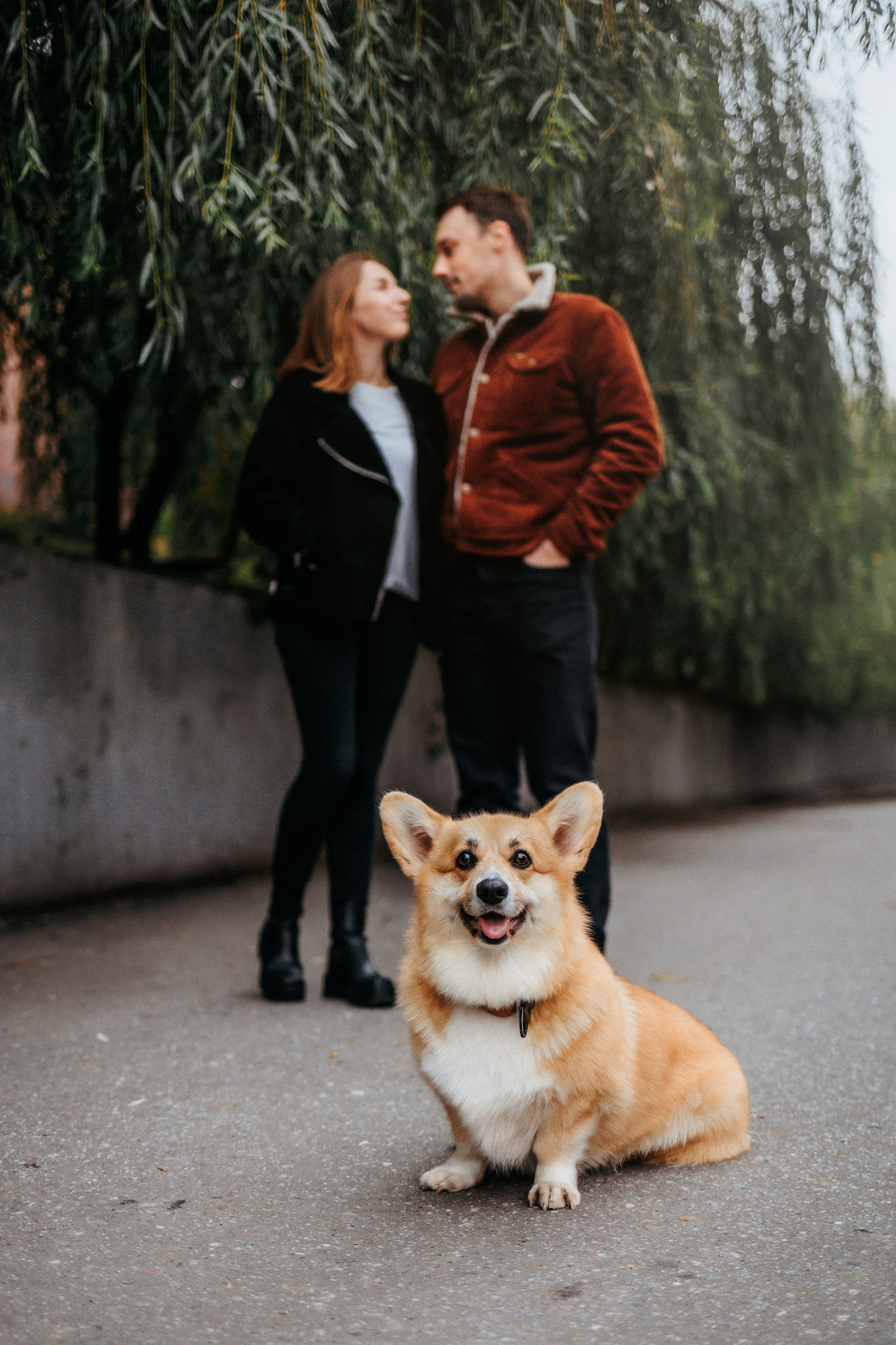 Вера, Саша и Муна. Фотограф-анималист Елена Радченко, Москва