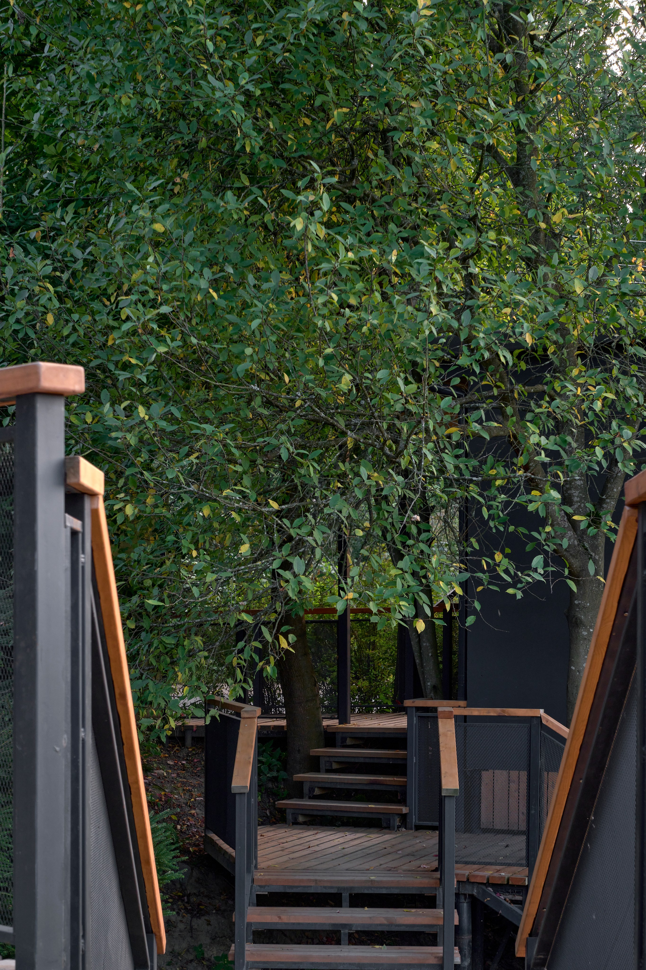 Токсово база отдыха. Фотосъемка частных садов и интерьеров | Санкт-Петербург | Москва | РФ