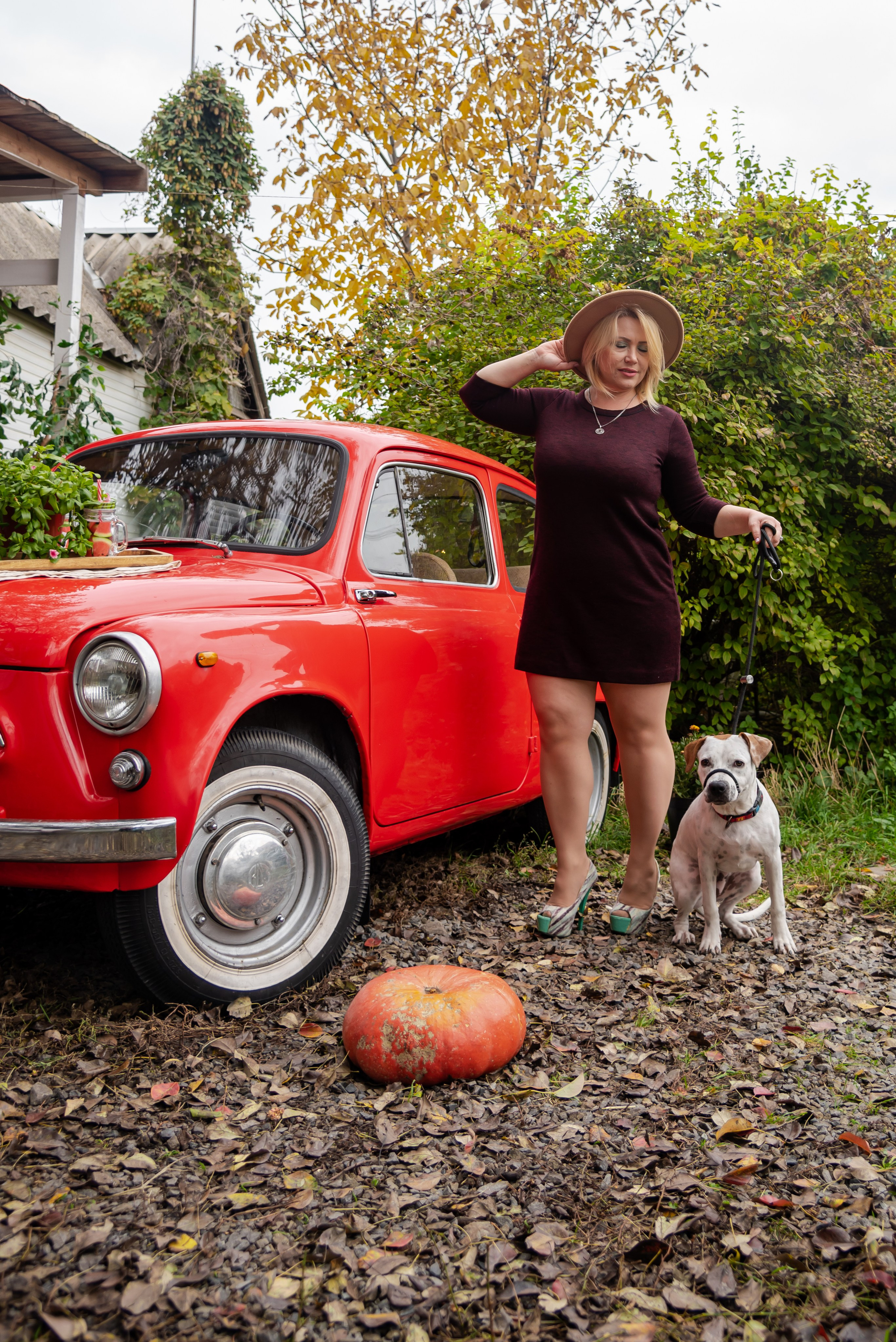 Авакадо. Фотограф Галина Нестерова