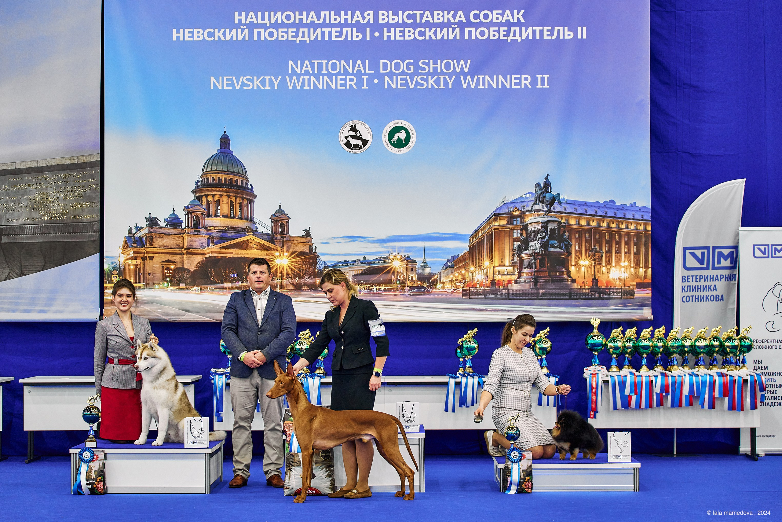 РЕЙТИНГОВАЯ ВЫСТАВКА СОБАК ВСЕХ ПОРОД С ОСОБЫМ СТАТУСОМ"НЕВСКИЙ ПОБЕДИТЕЛЬ-2024-1"