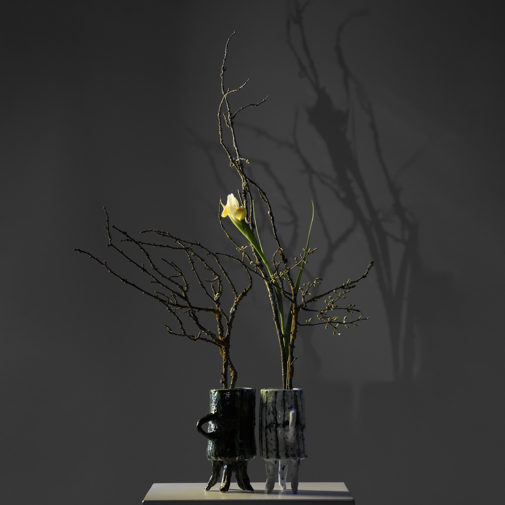 Фотосъёмка икебаны. Фотосъёмка интерьеров и архитектуры гостиниц, промышленная съёмка