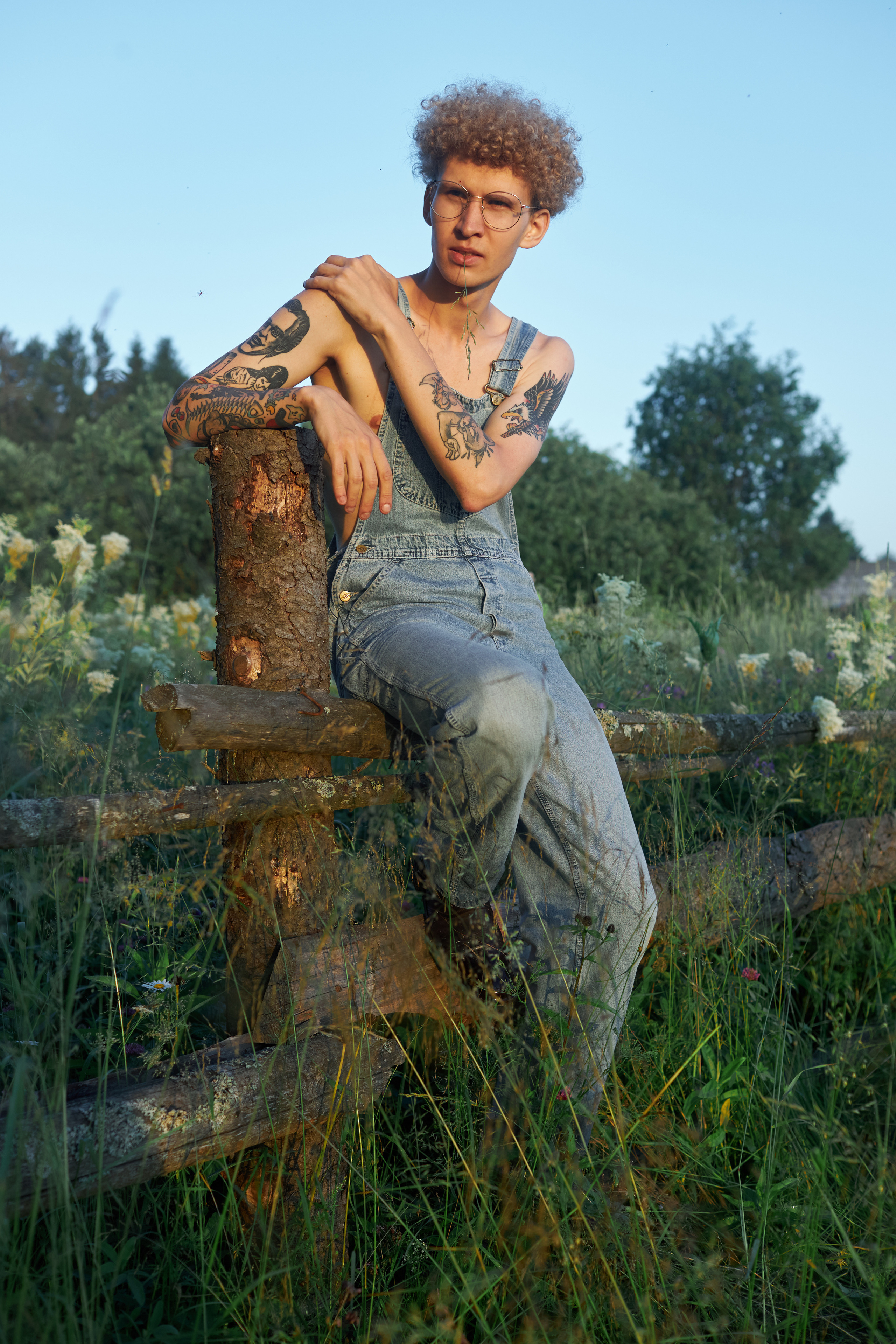 Рассвет на ферме. Фотосессия Киров. Александр Прозоров фотограф в Кирове