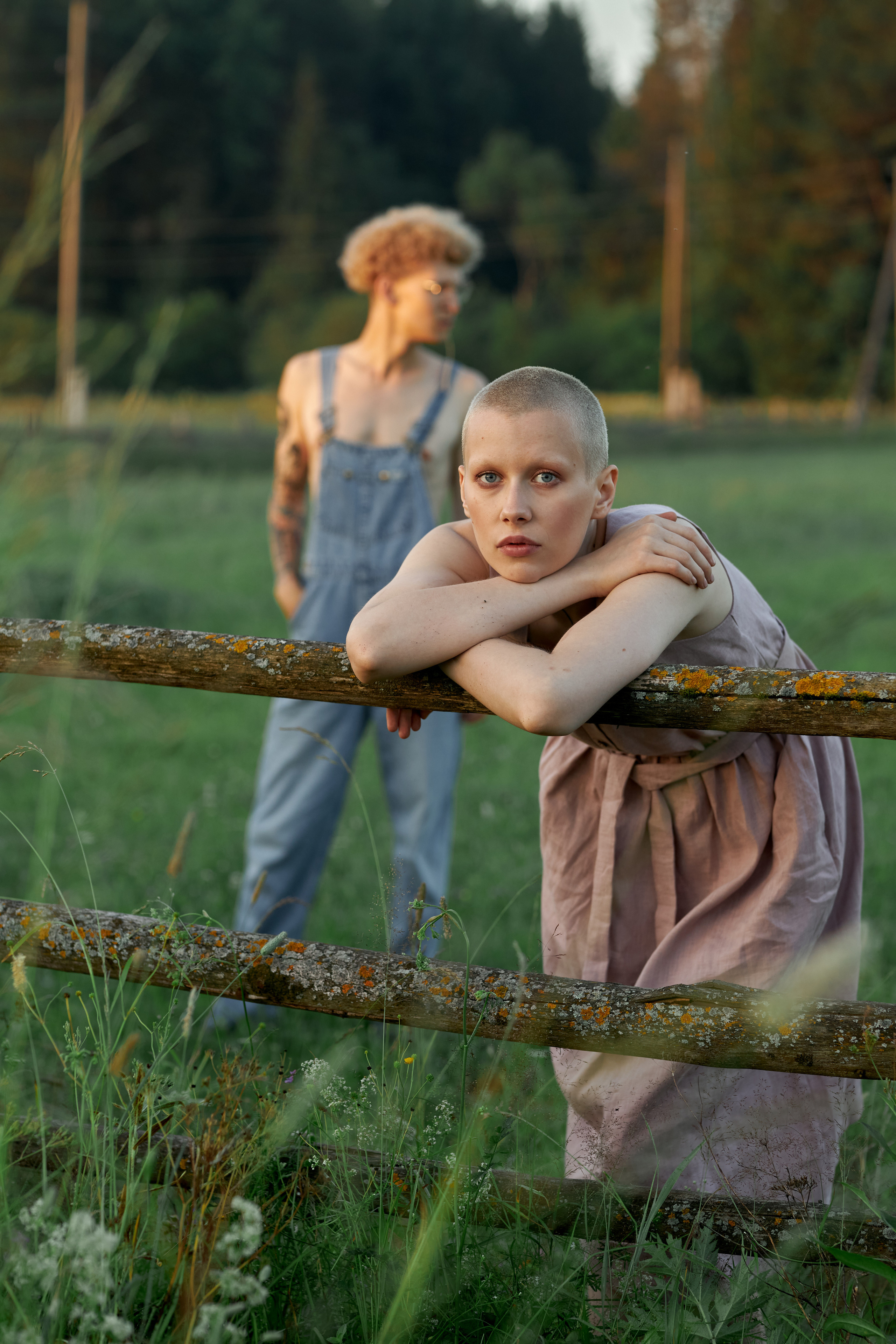 Рассвет на ферме. Фотосессия Киров. Александр Прозоров фотограф в Кирове