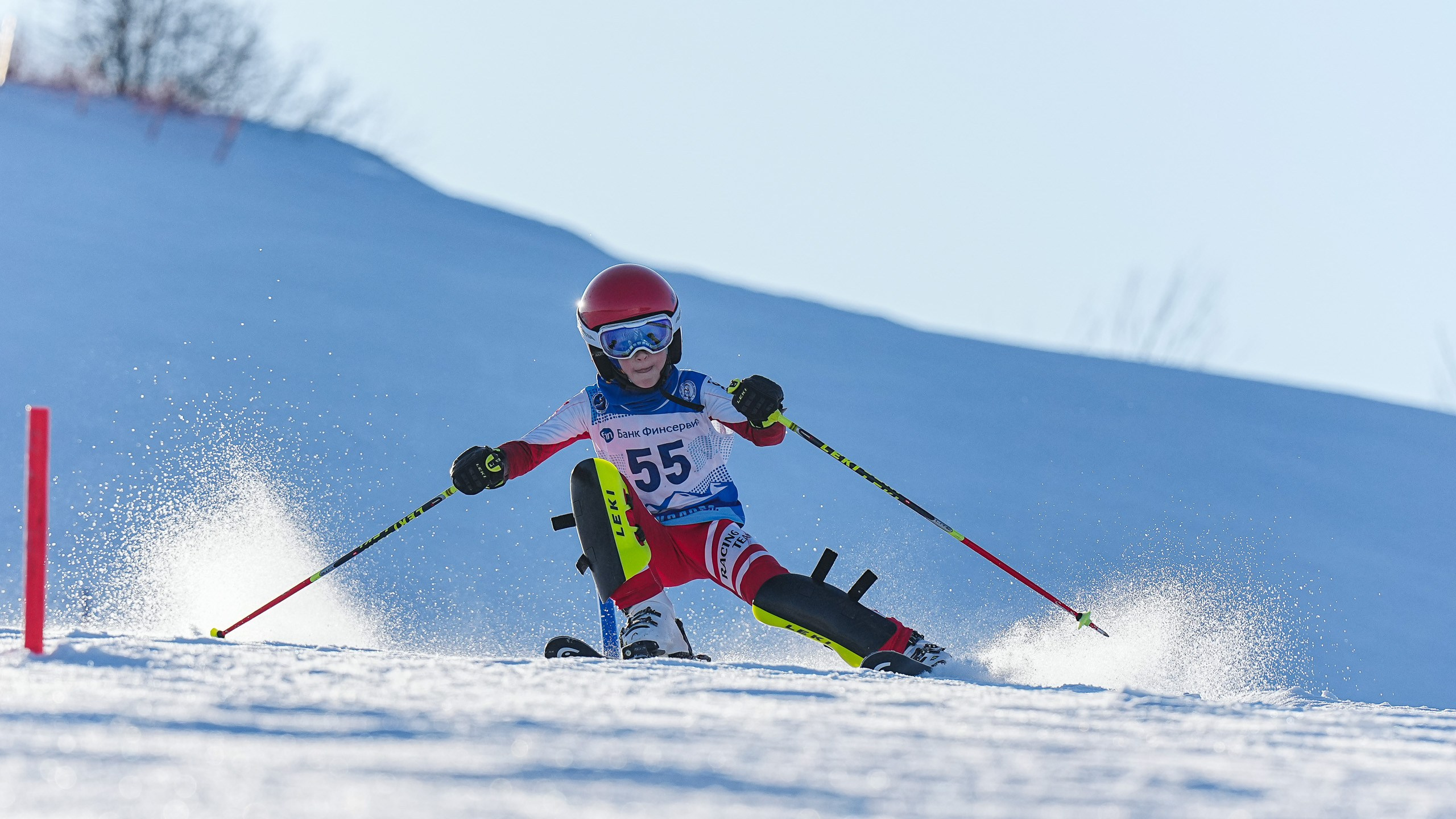 SL (Slalom) - Слалом. Соревнования по горнолыжному спорту. Московская область, Шуколово