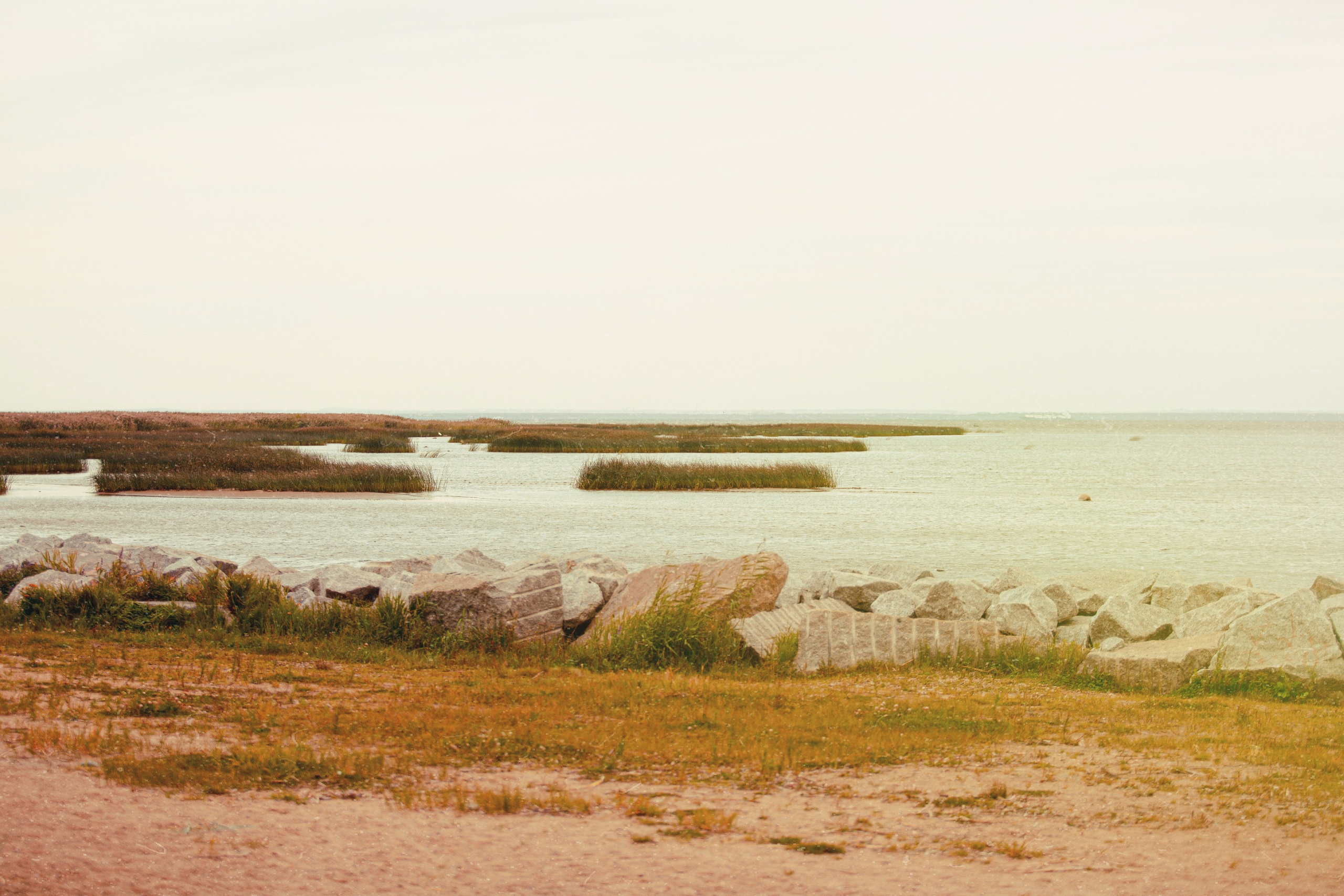 Лисий нос. Арт-фотограф Крис Л. в Тобольске: портрет, семейные, свадьбы