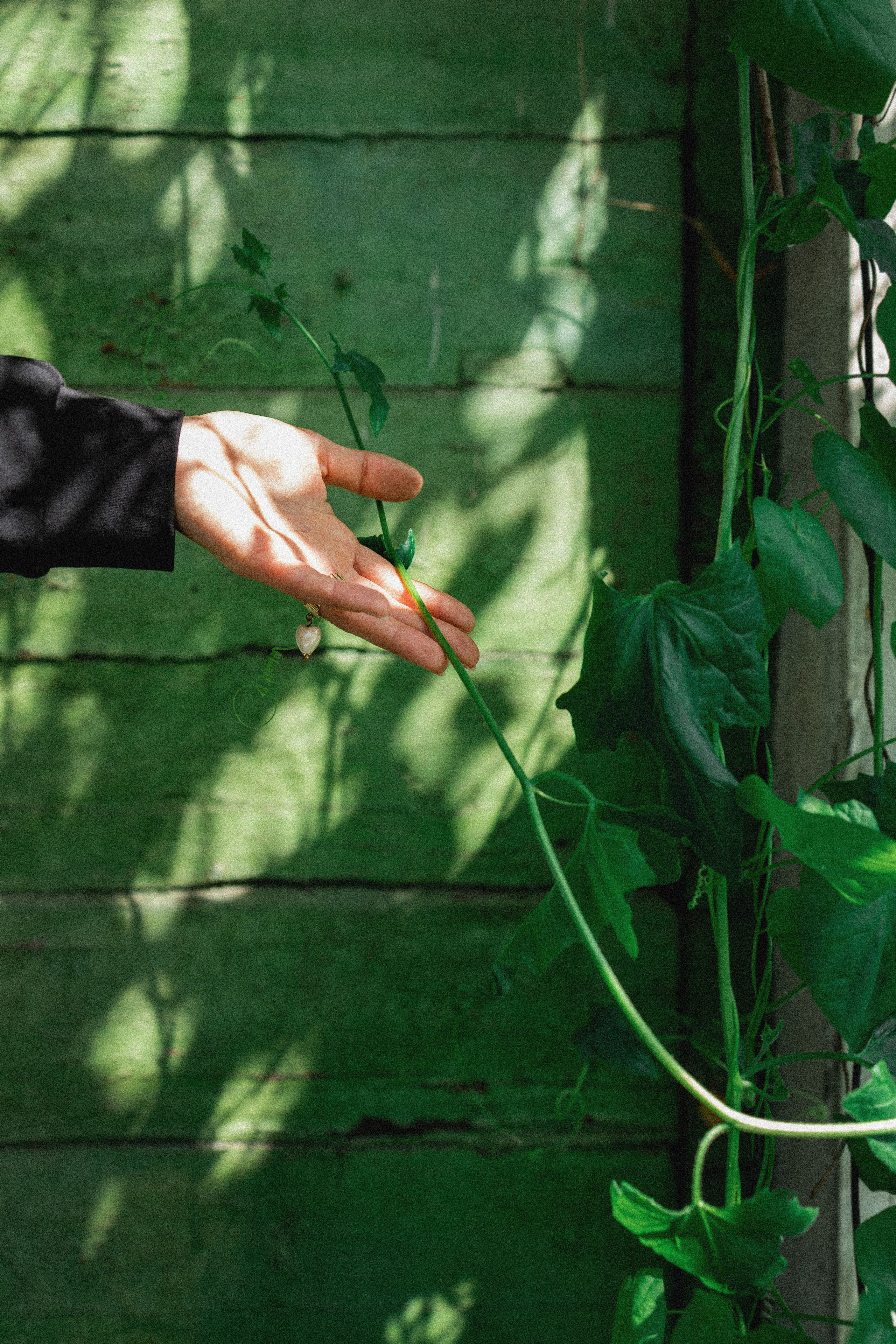 Эстетика П р о Я в л е н и я. Виноградова Маргарита. Фотограф P r o Явления