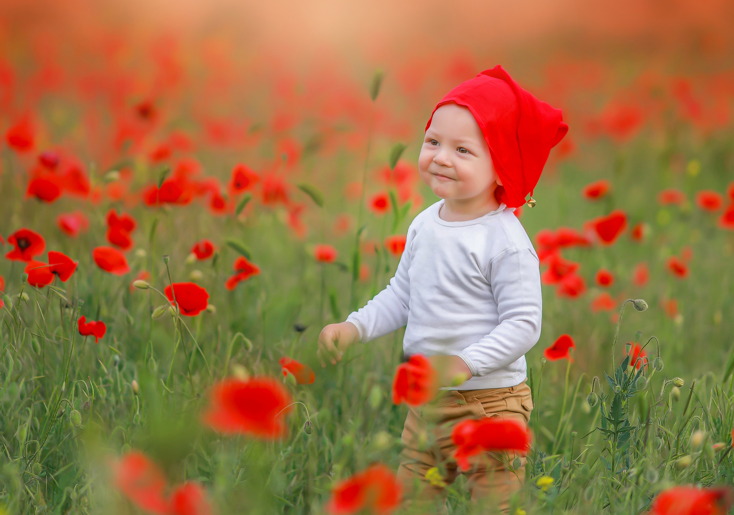 Фотосессия в маках. Фотограф в Крыму Дзгоева Ксения