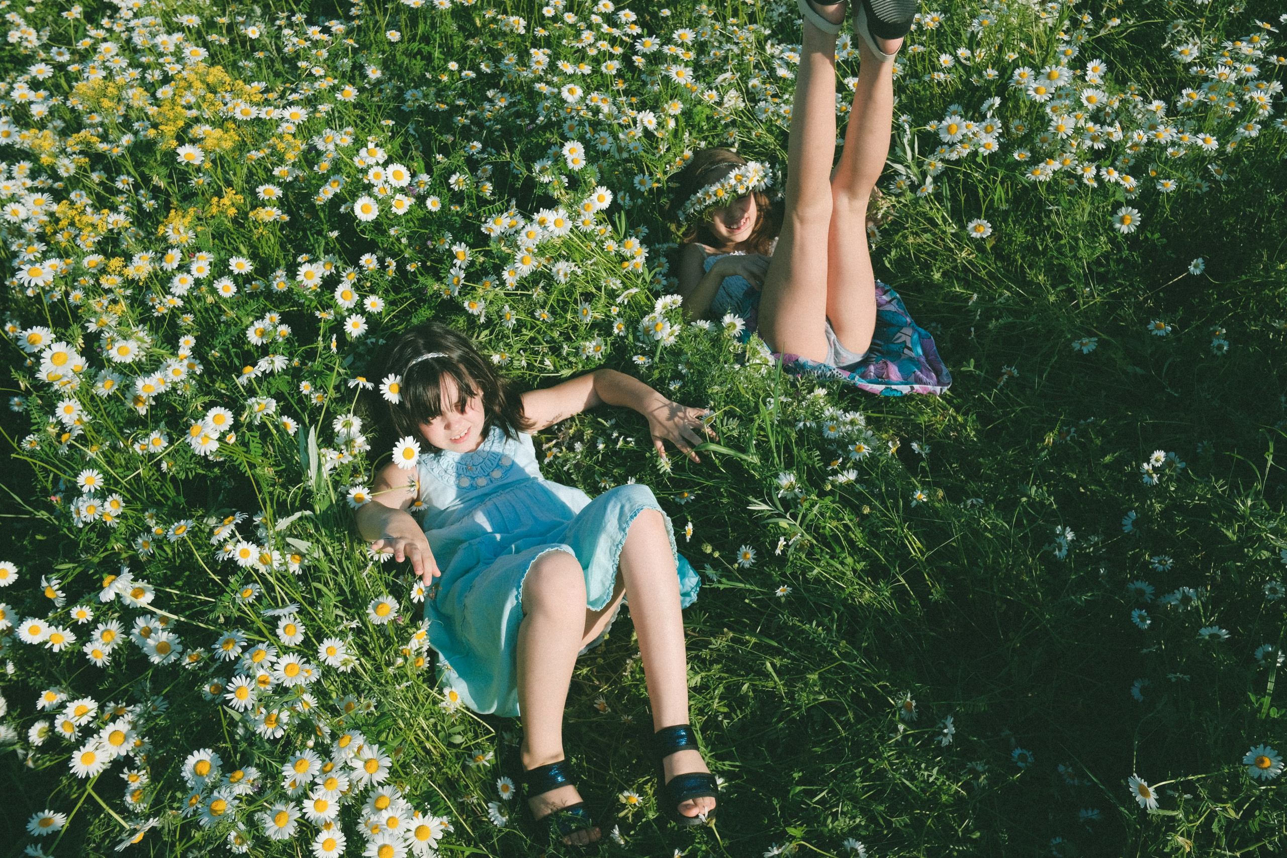 Ждановы в ромашках. Женский и семейный фотограф в Краснодаре и крае Таня Мустафина