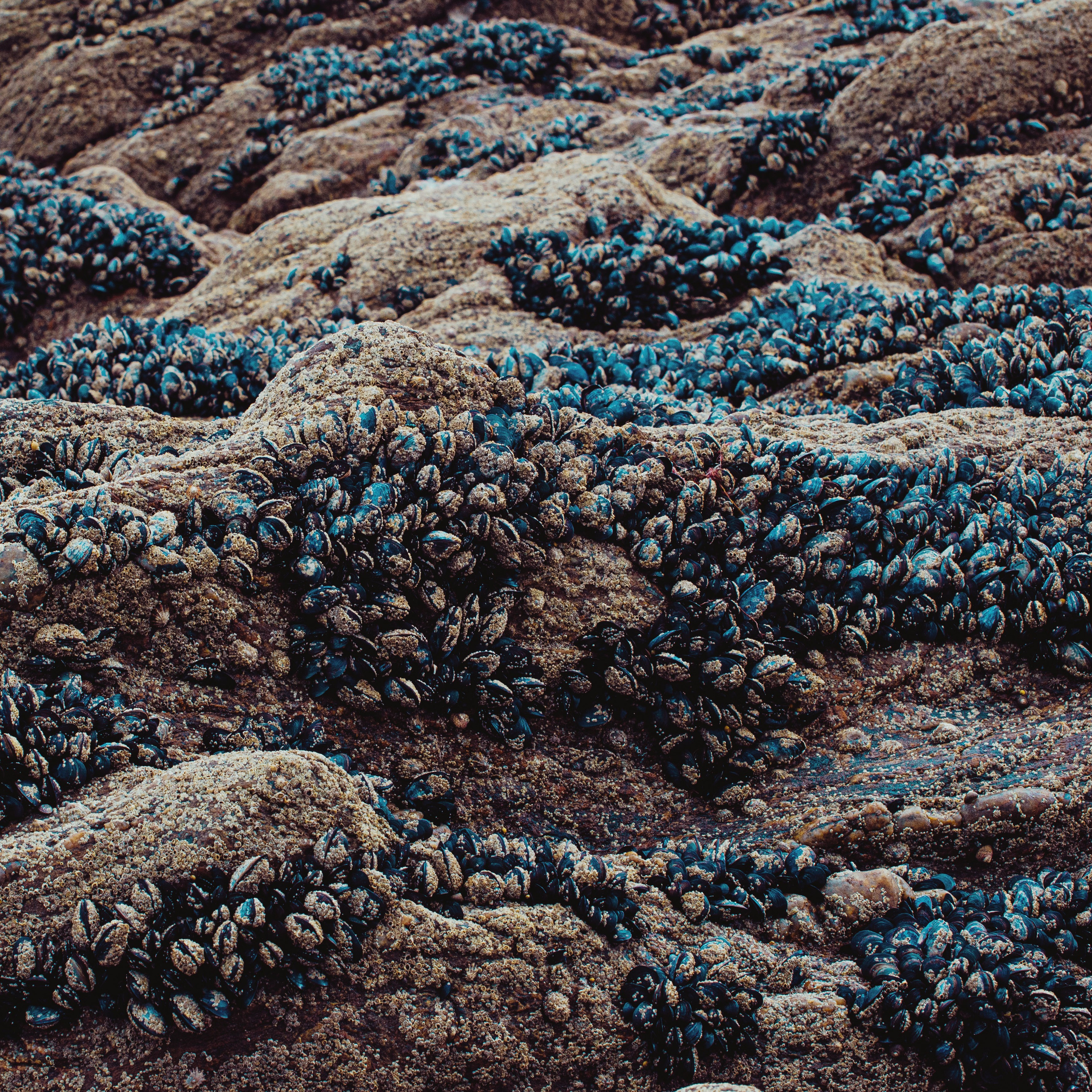 Франция. Фотографии Дмитрия Захаренко