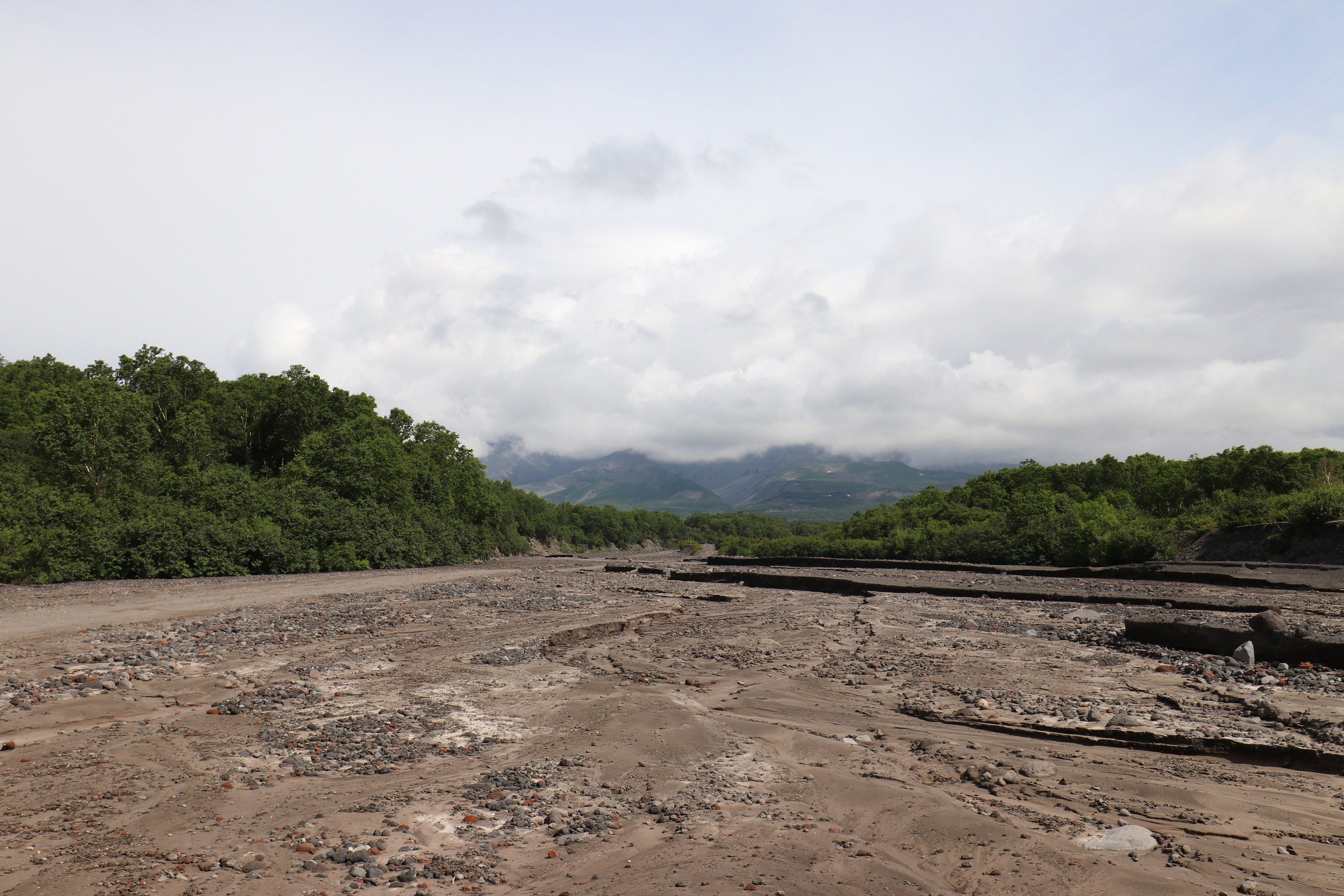 Камчатка и о. Парамушир. Июль 2024. Путешественник-фотограф из Санкт-Петербурга Татьяна Свистулина