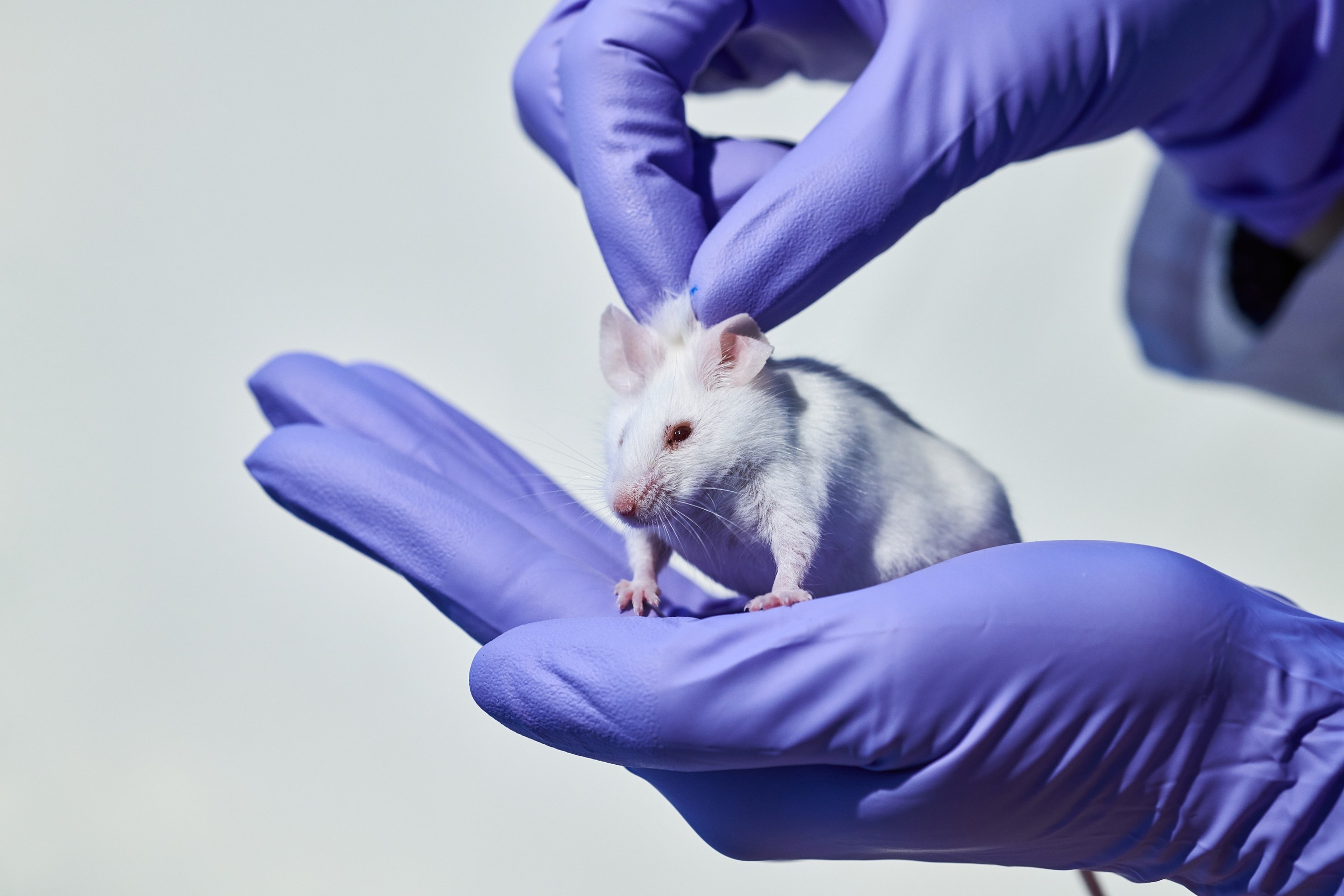 Медицина. Главная