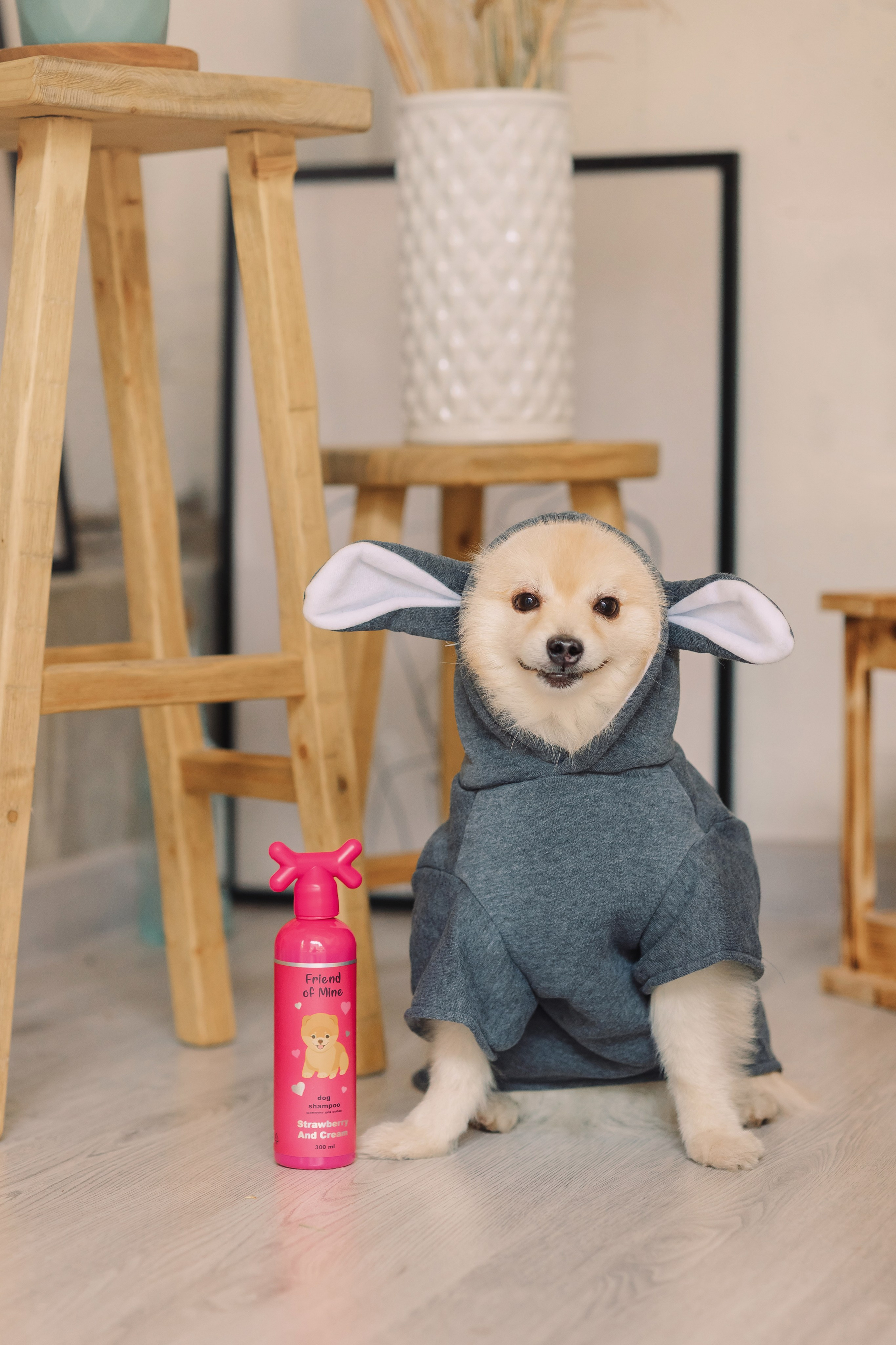 Магазин Friend of mine. Фотограф-анималист Елена Радченко, Москва