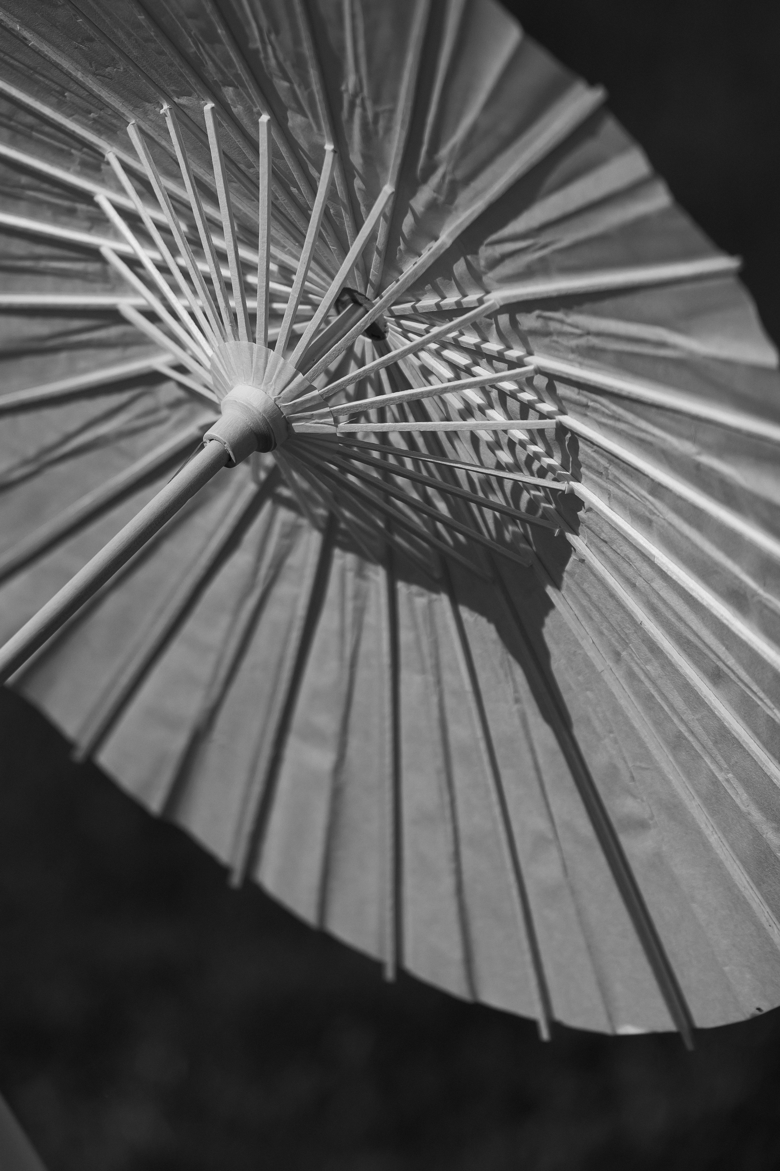 D&X. Фотограф Таганрог Хребет София