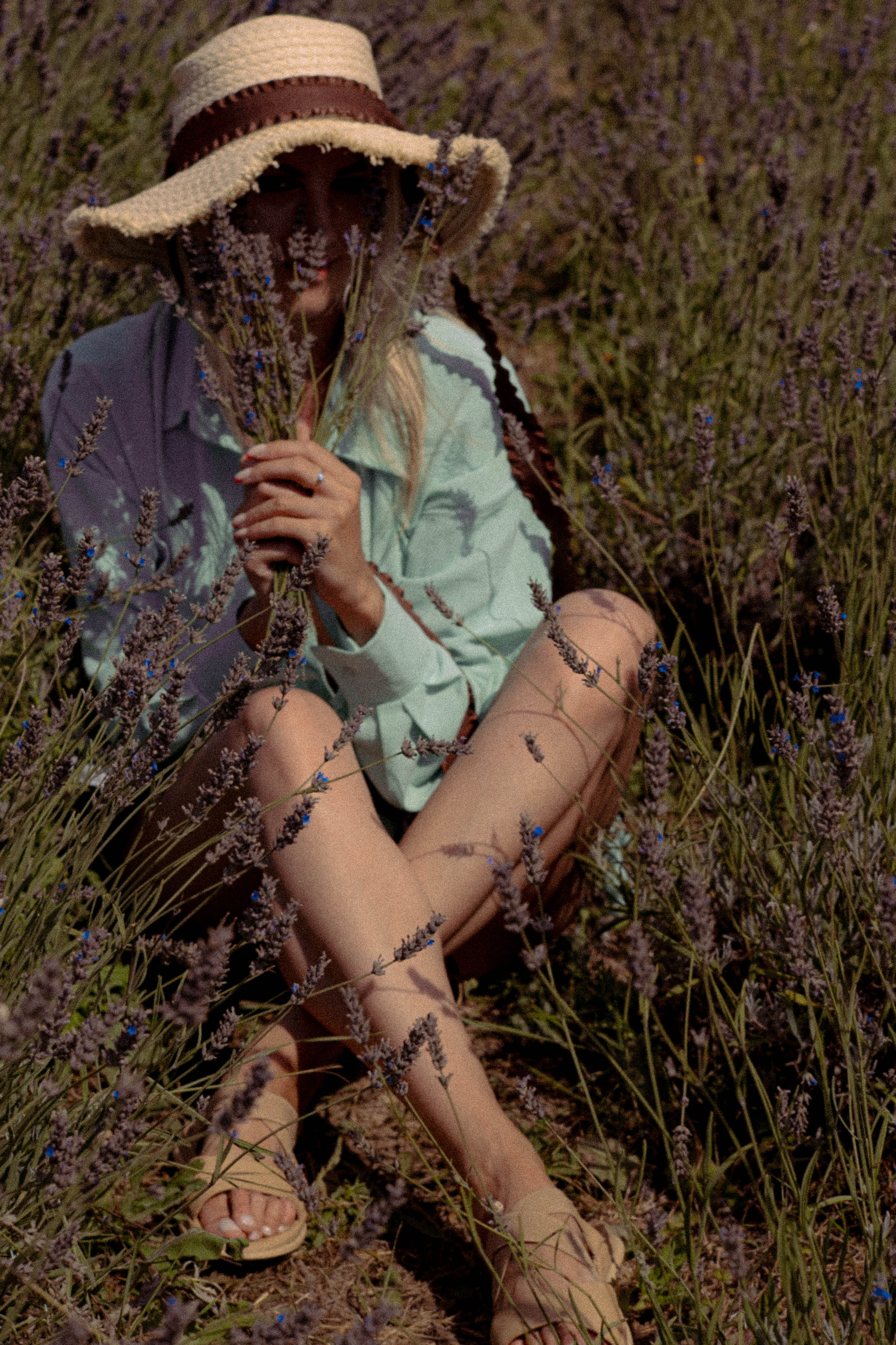 ЛАВАНВОДОВОЕ ПОЛЕ. Профессиональный фотограф, Санкт-Петербург — Виктория Богомолова