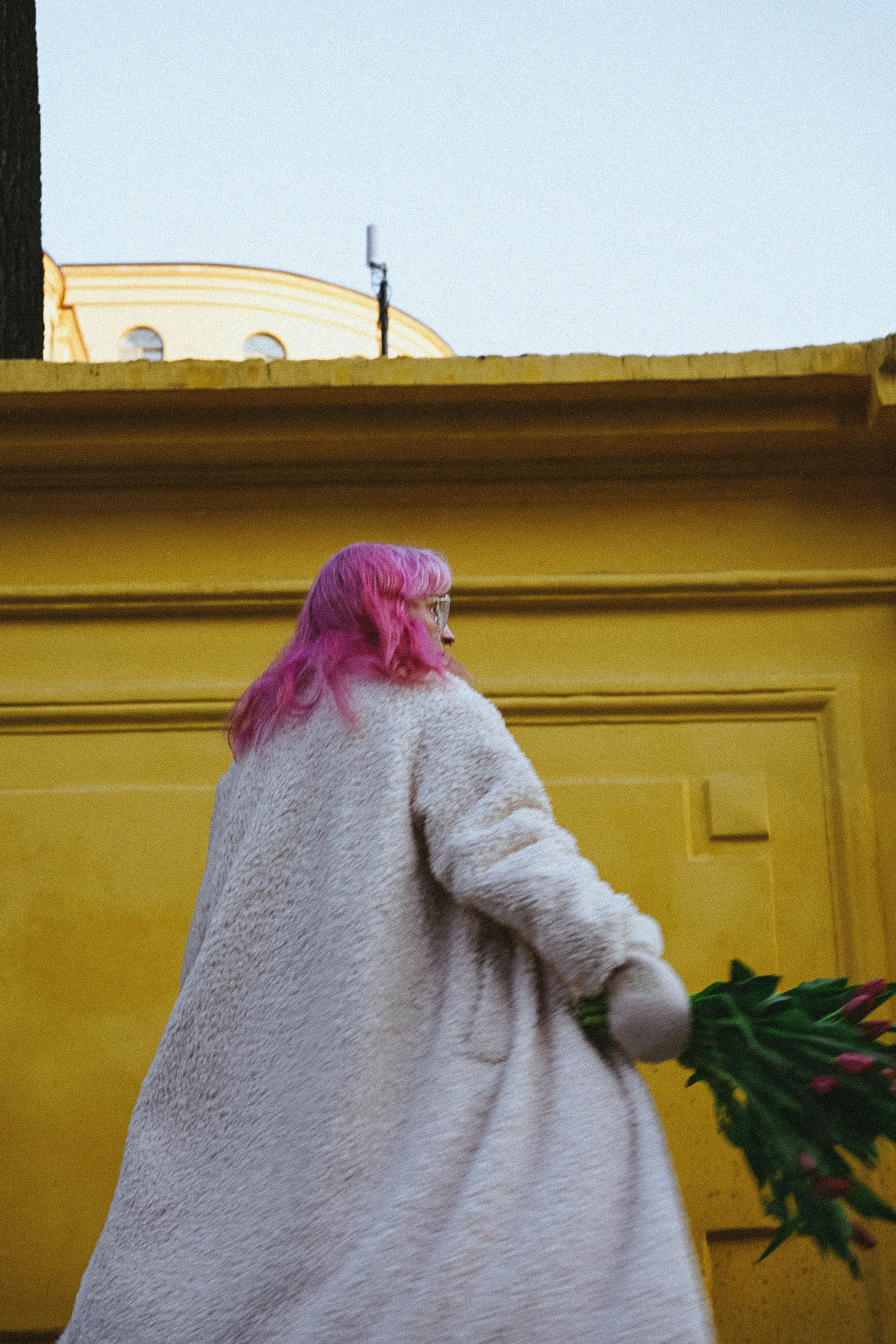 Тюльпаны. Профессиональный фотограф, Санкт-Петербург — Виктория Богомолова