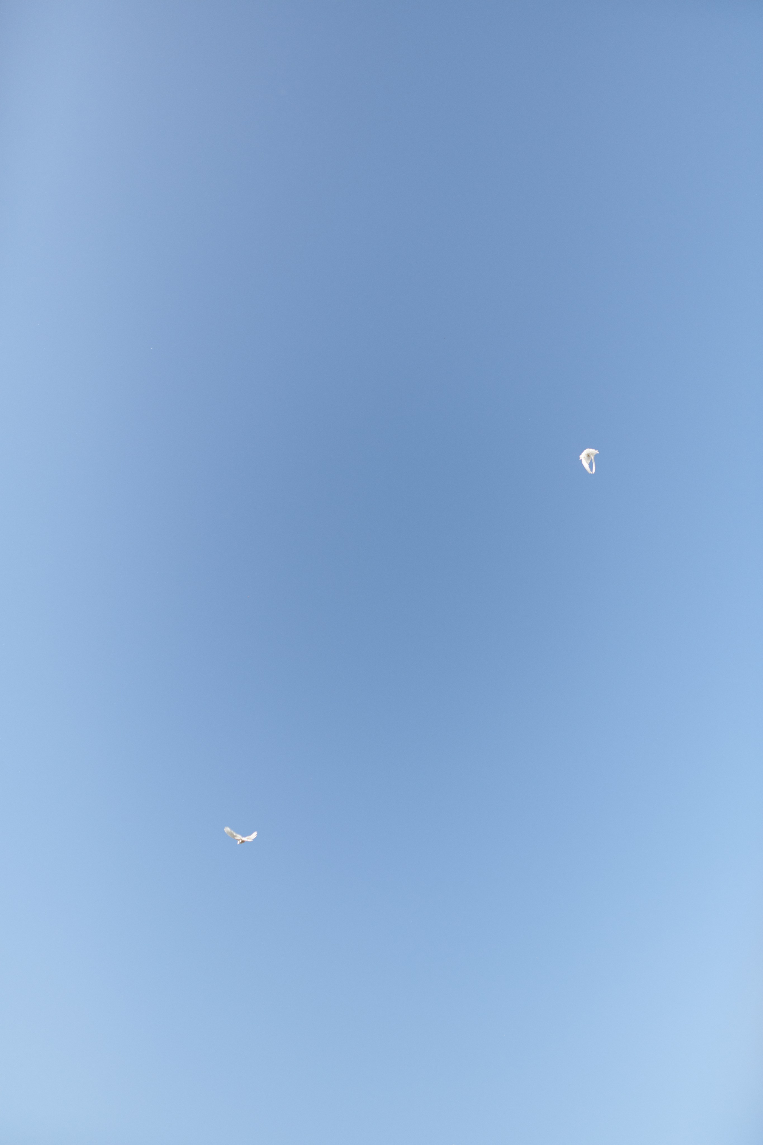 Максим & Алина. Фотограф в Курске Ольга Дудинова