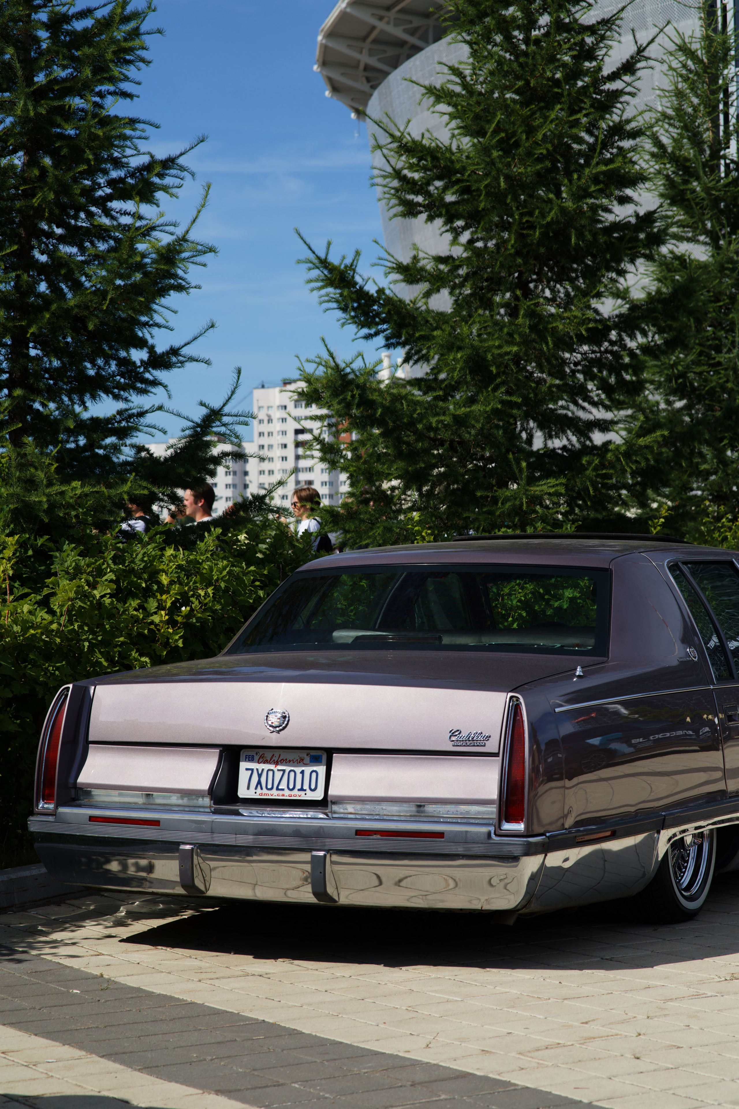 EKB STANCE MEET 6.07.2024. IN STREET WE TRUST